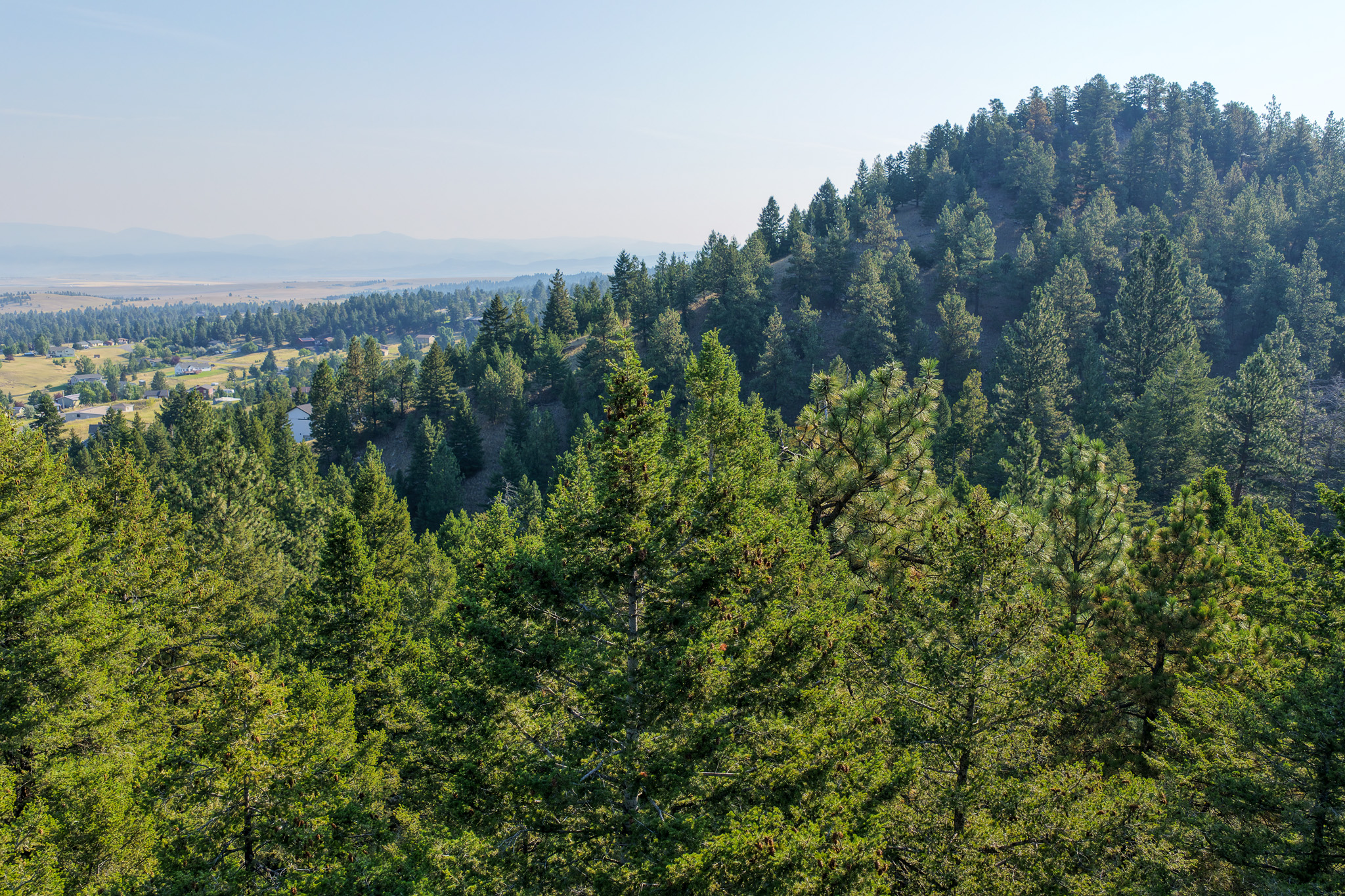 93 Saddle Mountain Drive Property Photo 9