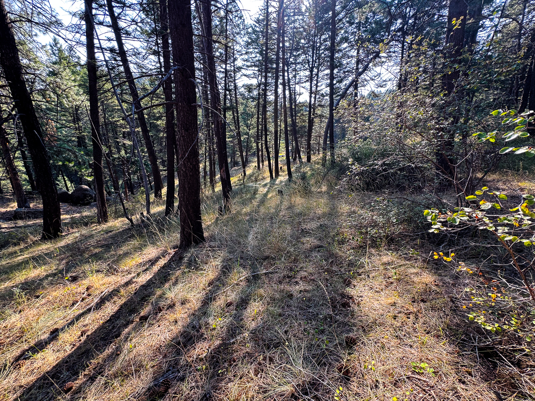 93 Saddle Mountain Drive Property Photo 12