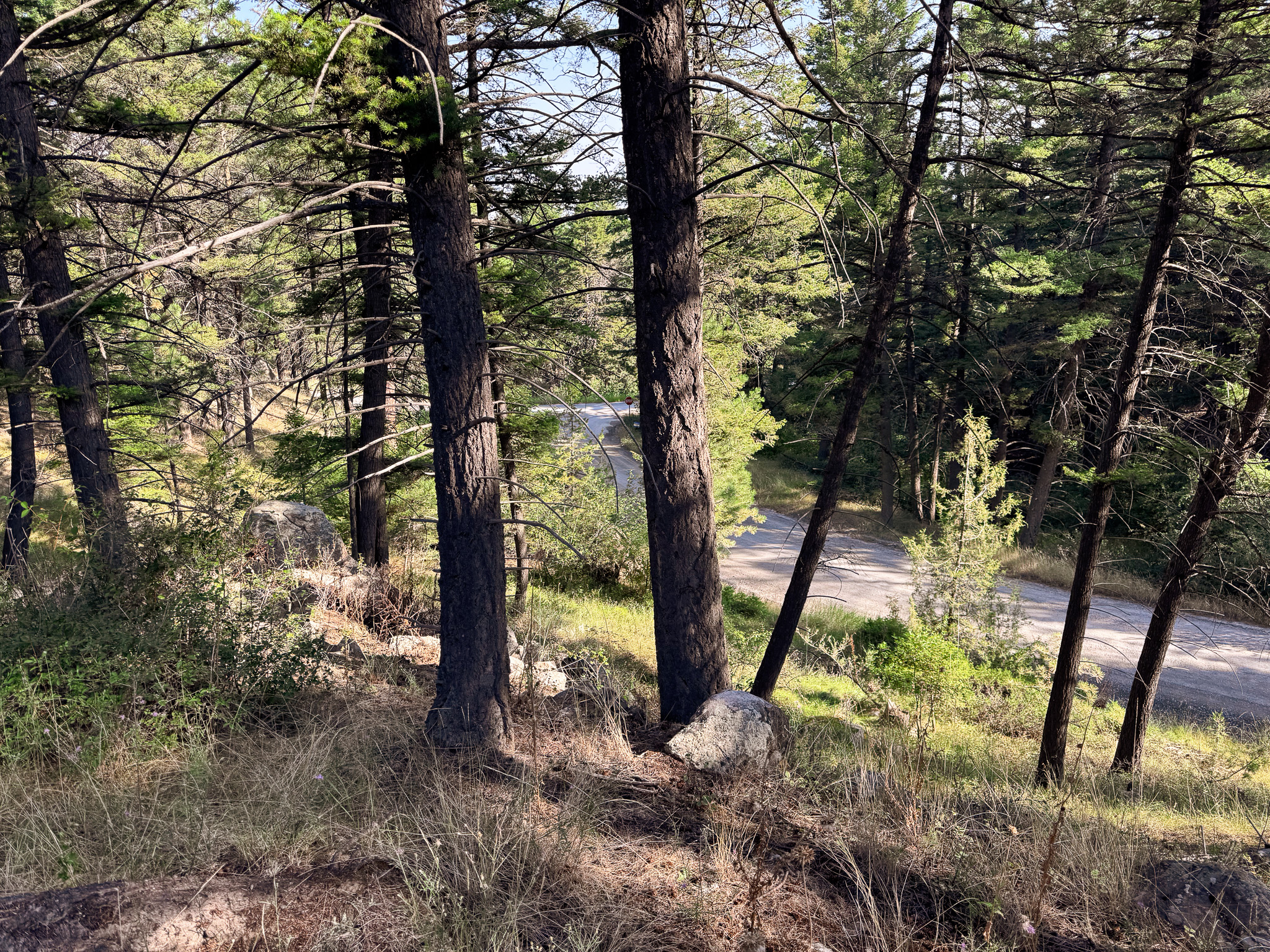 93 Saddle Mountain Drive Property Photo 13