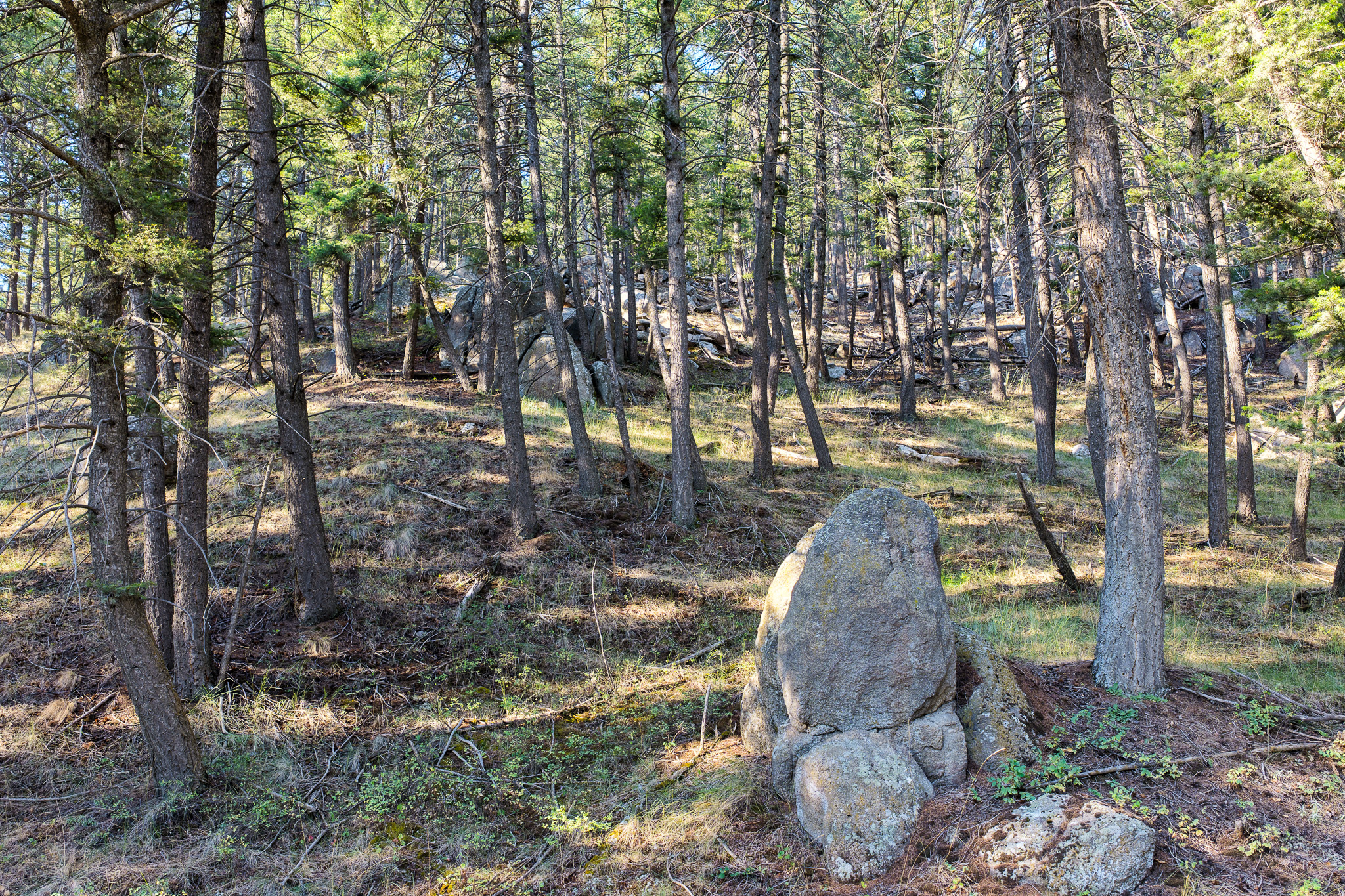 93 Saddle Mountain Drive Property Photo 17