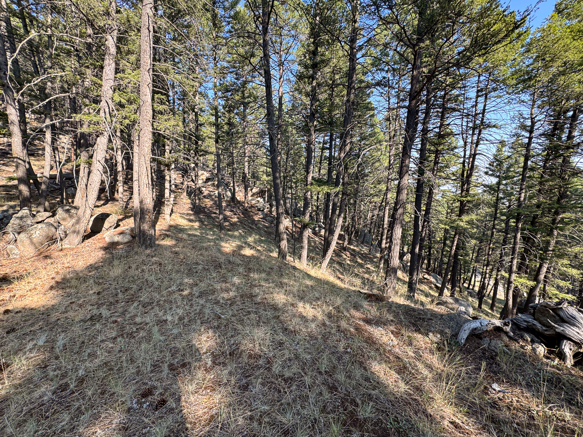 93 Saddle Mountain Drive Property Photo 18