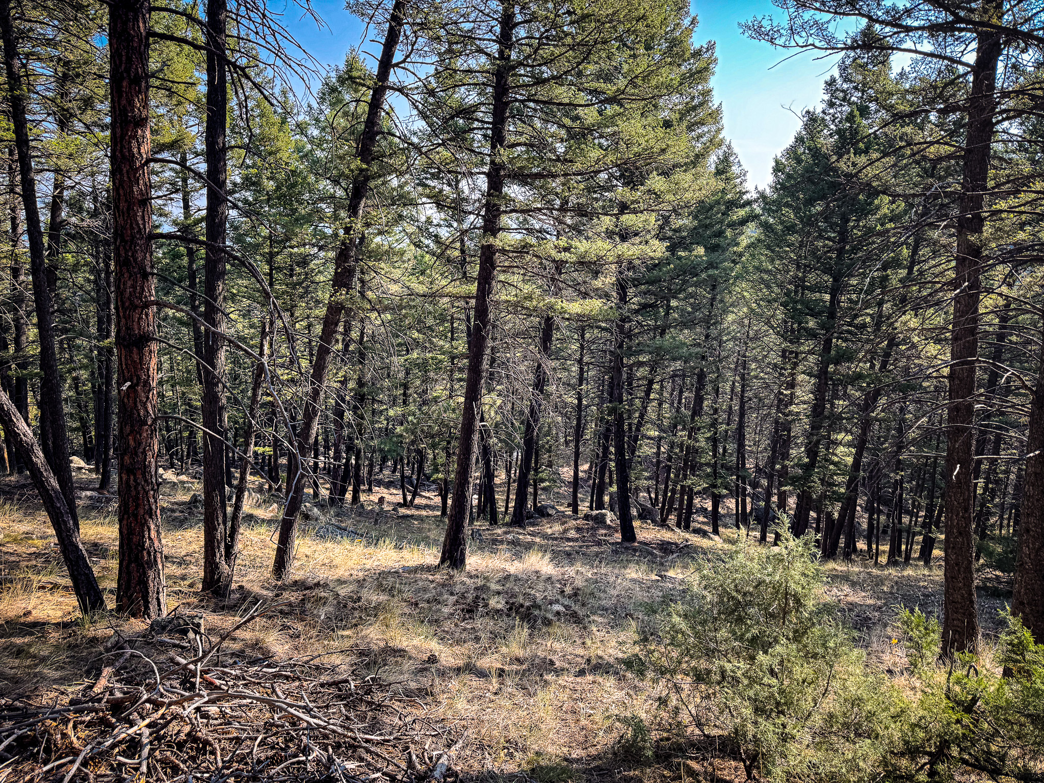 93 Saddle Mountain Drive Property Photo 20