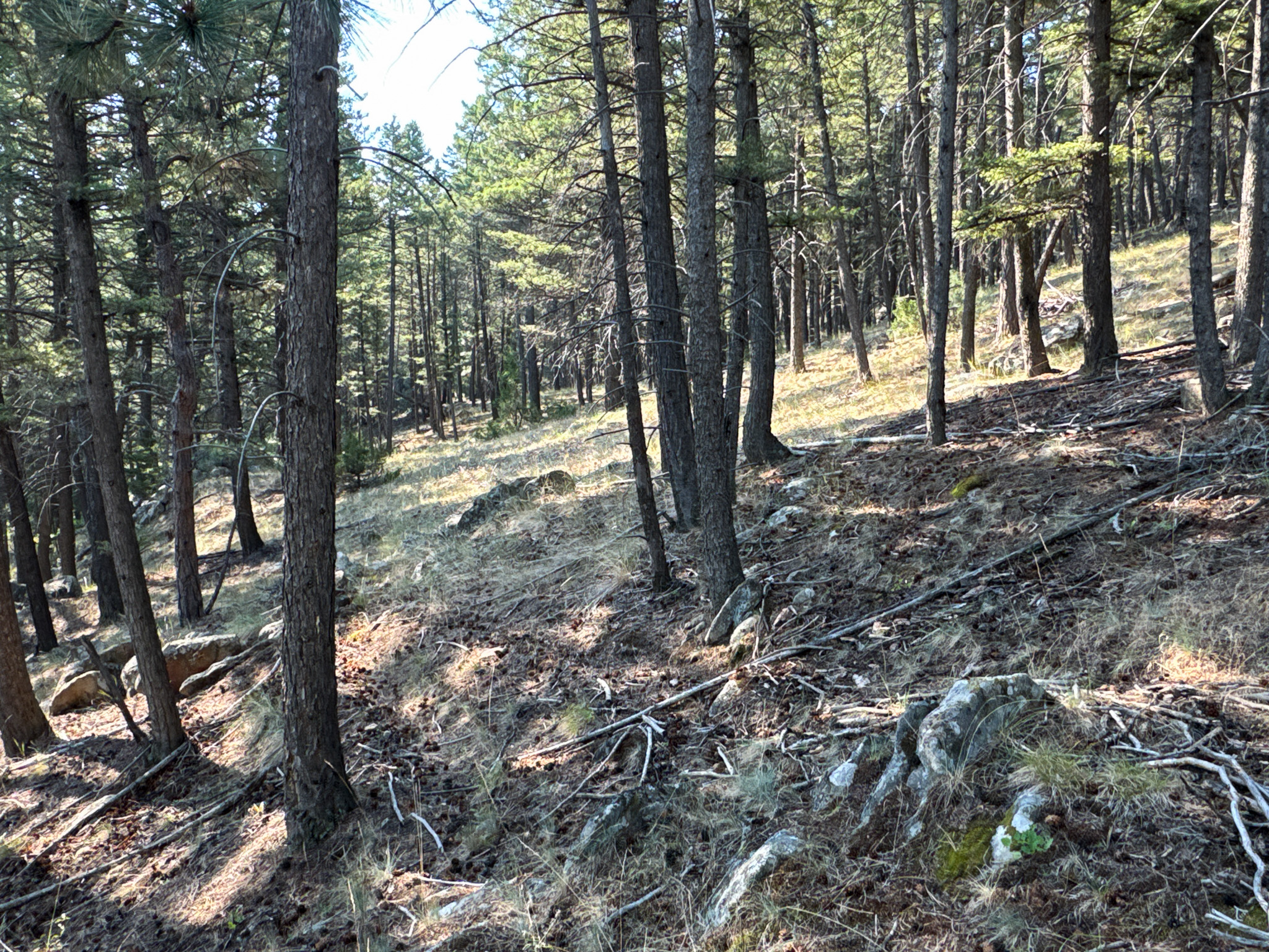 93 Saddle Mountain Drive Property Photo 22