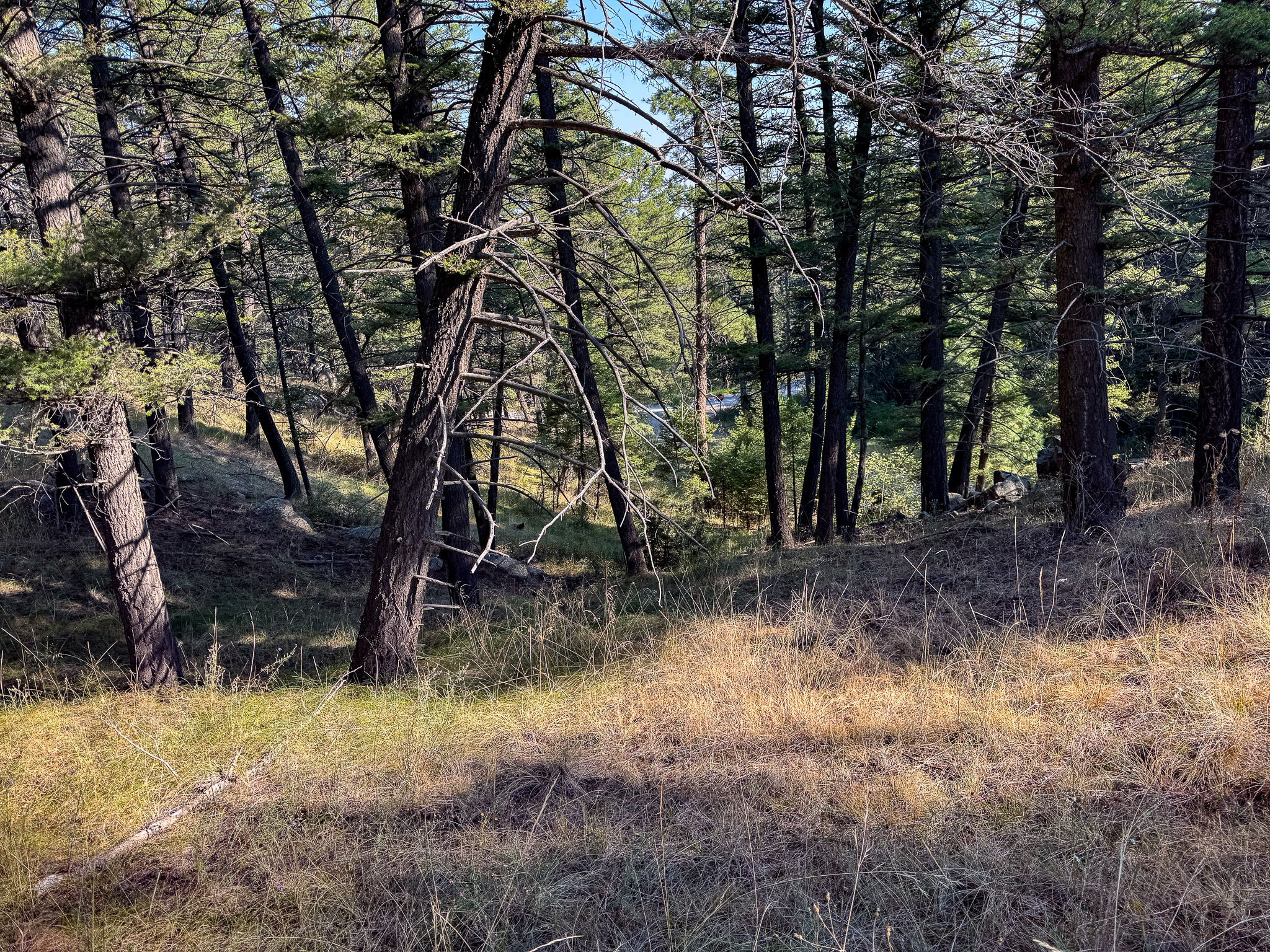 93 Saddle Mountain Drive Property Photo 23