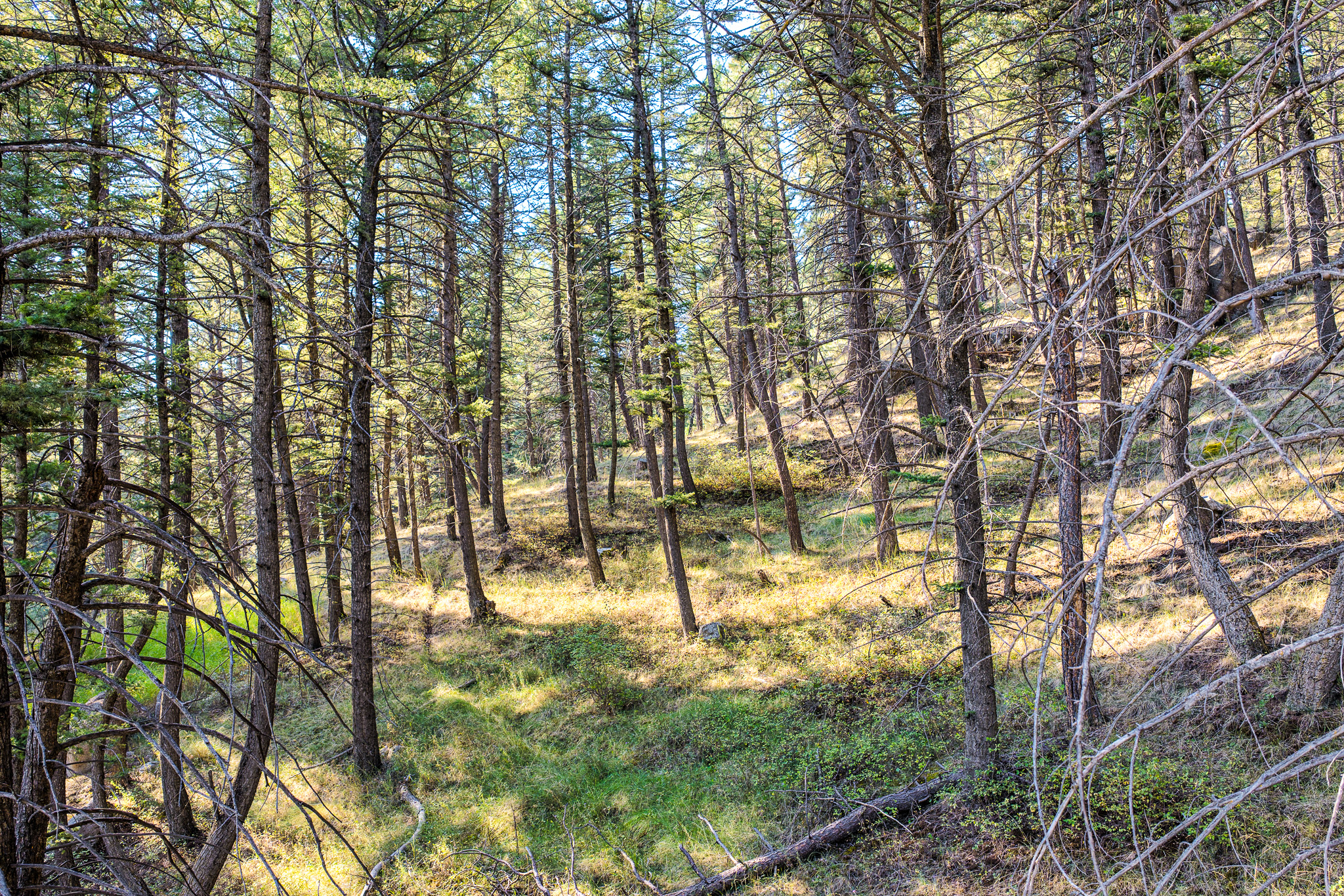 93 Saddle Mountain Drive Property Photo 25