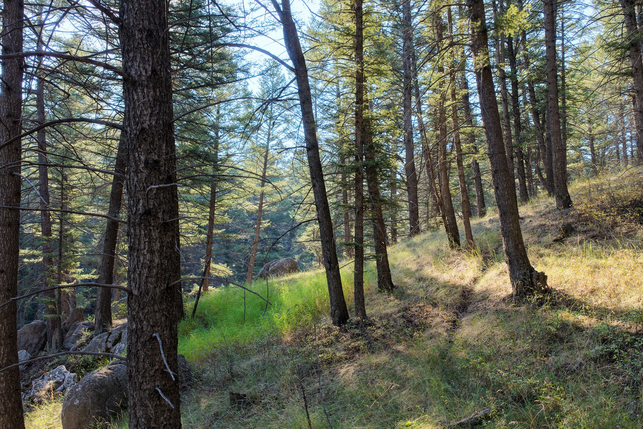93 Saddle Mountain Drive Property Photo 26