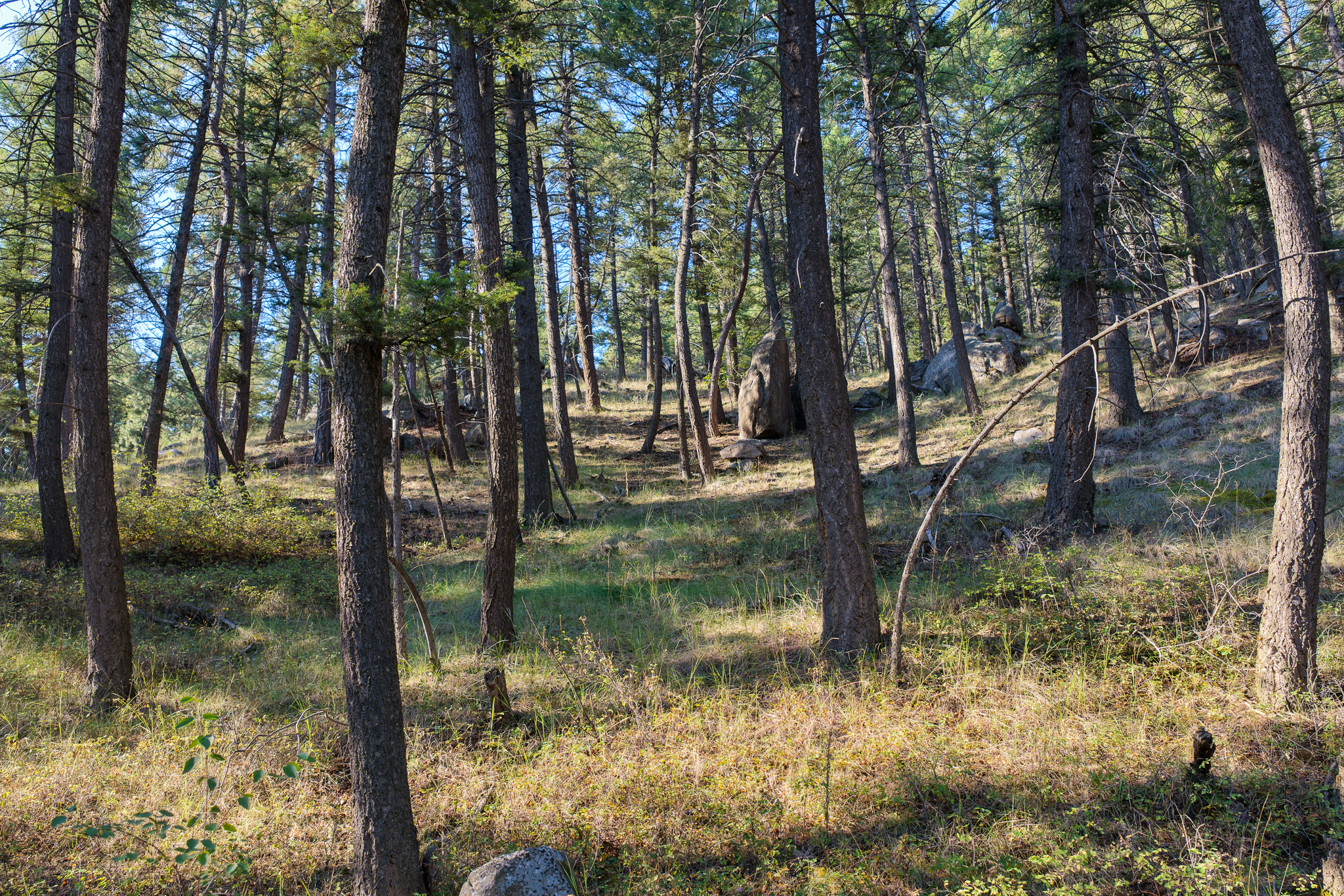 93 Saddle Mountain Drive Property Photo 27