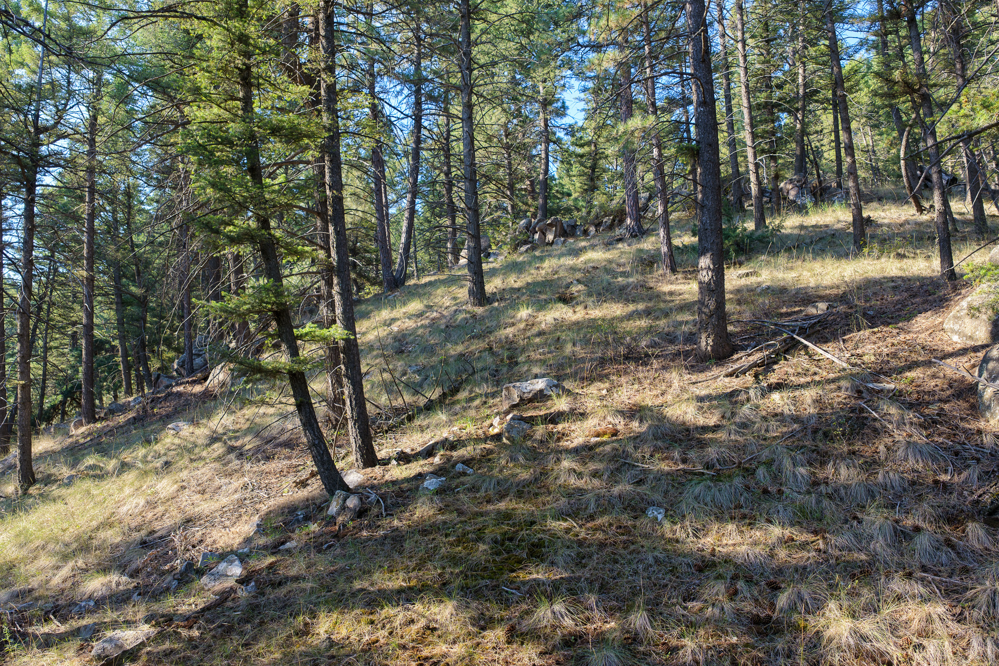 93 Saddle Mountain Drive Property Photo 28