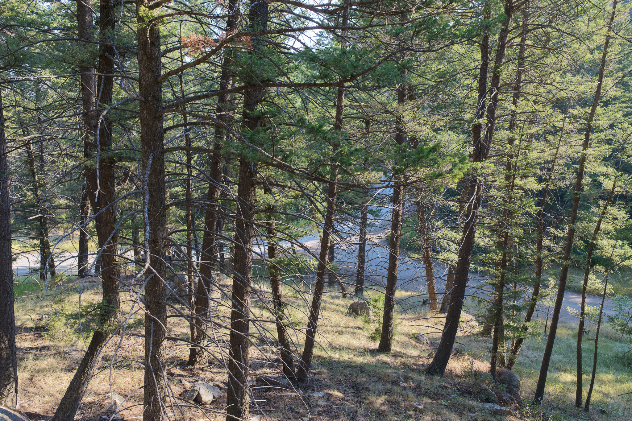 93 Saddle Mountain Drive Property Photo 31