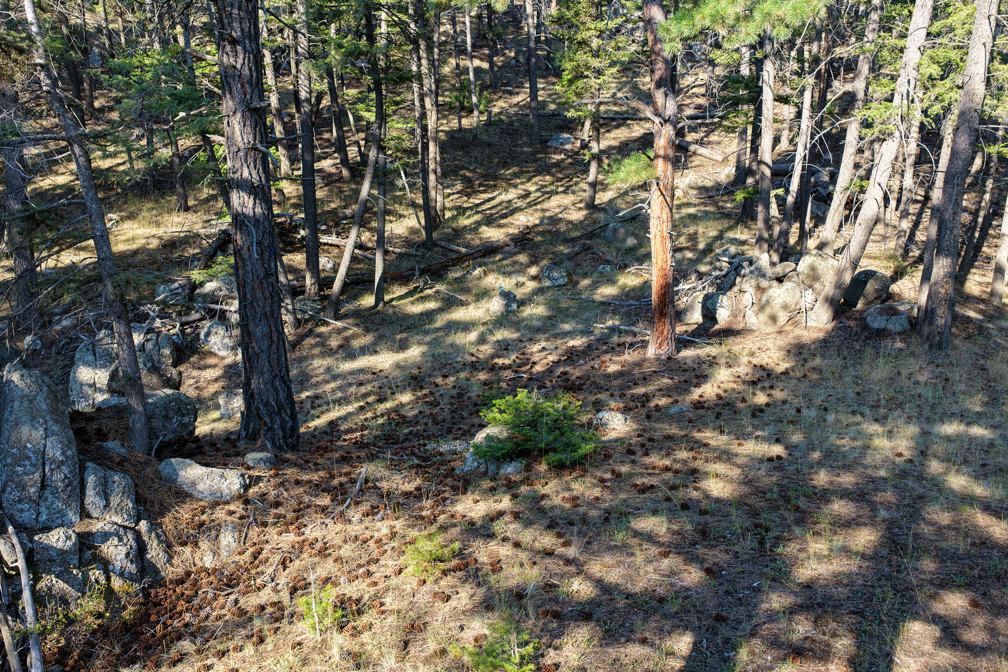 93 Saddle Mountain Drive Property Photo 35