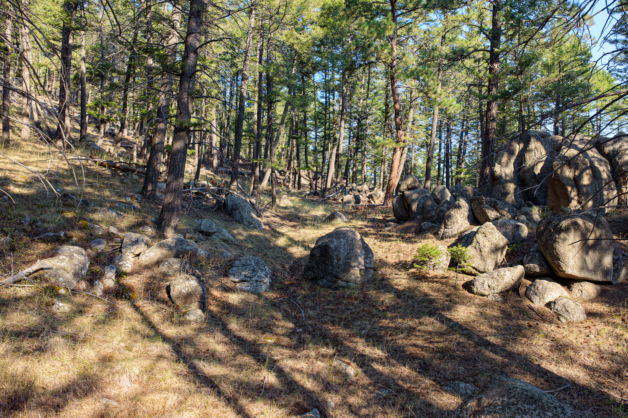 93 Saddle Mountain Drive Property Photo 37