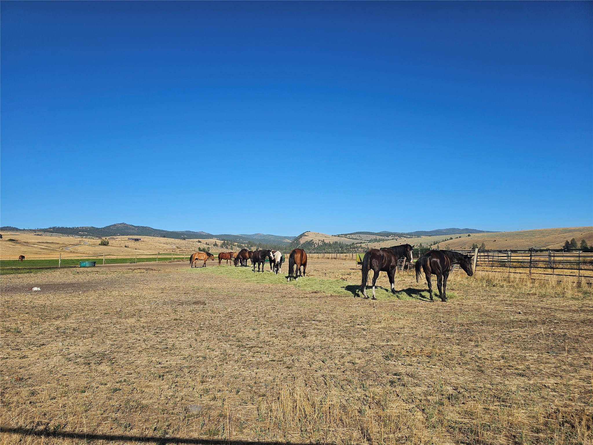 Nhn Farm View Lane Property Photo 4