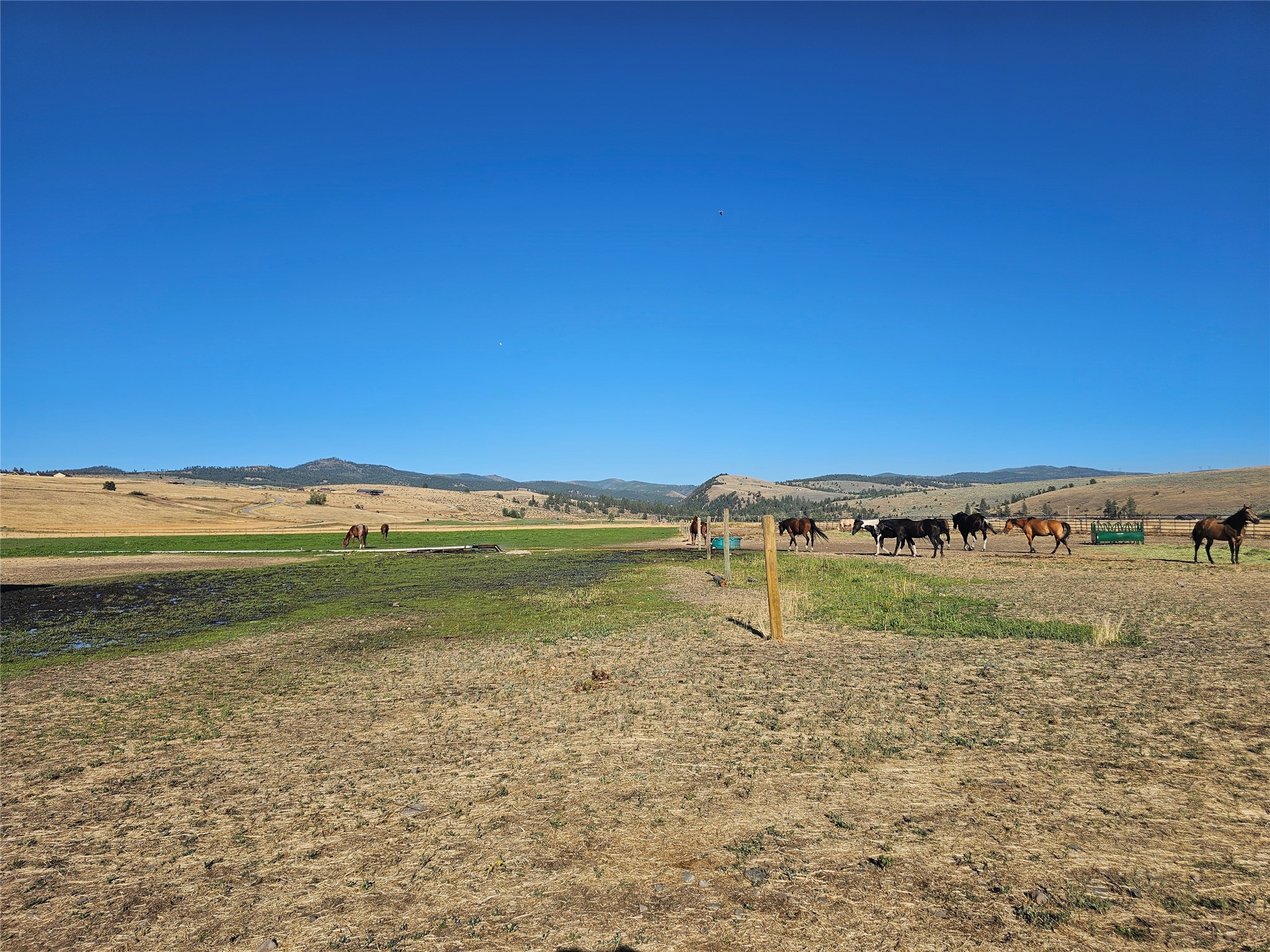 Nhn Farm View Lane Property Photo 8