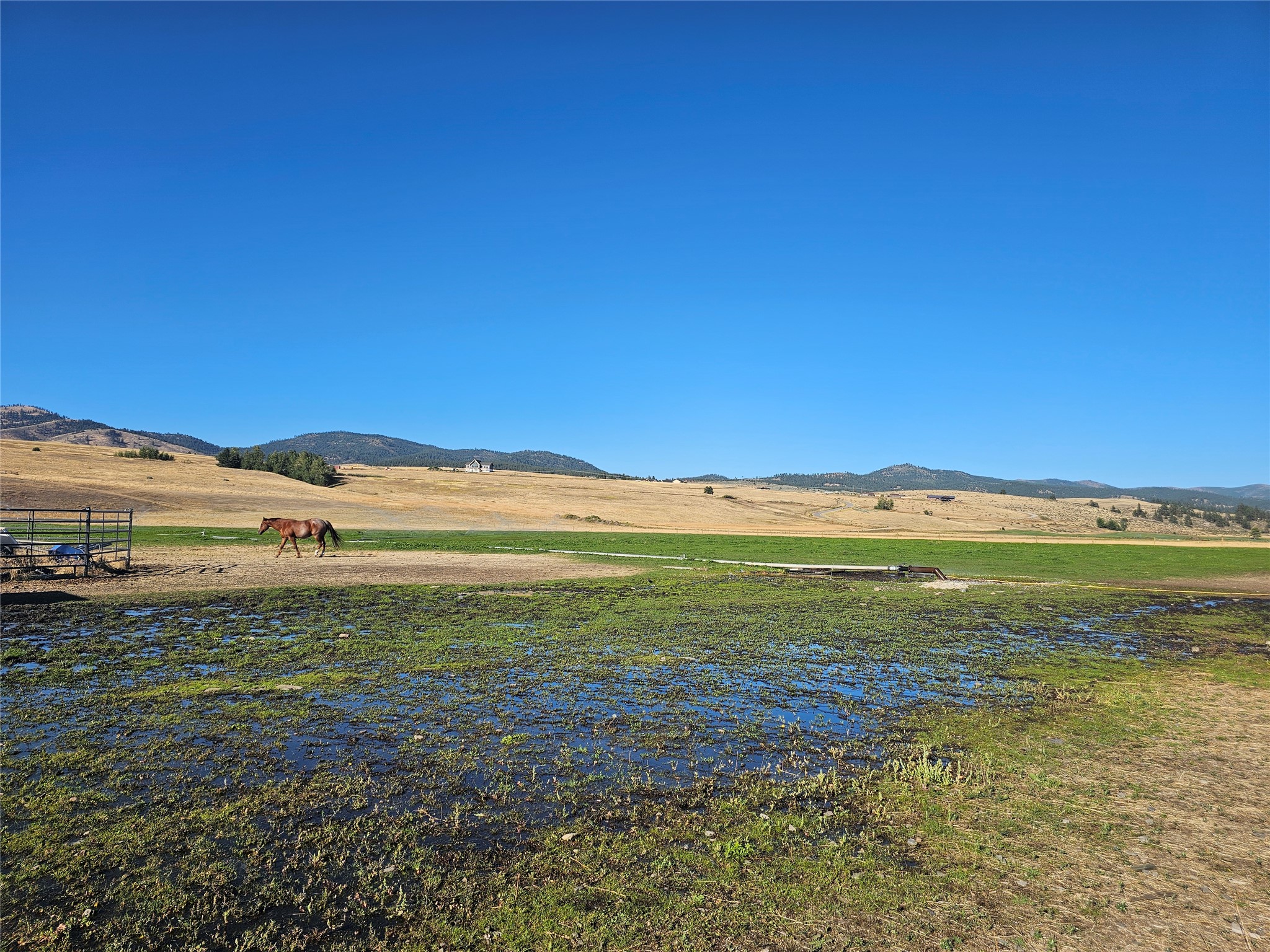 Nhn Farm View Lane Property Photo 9
