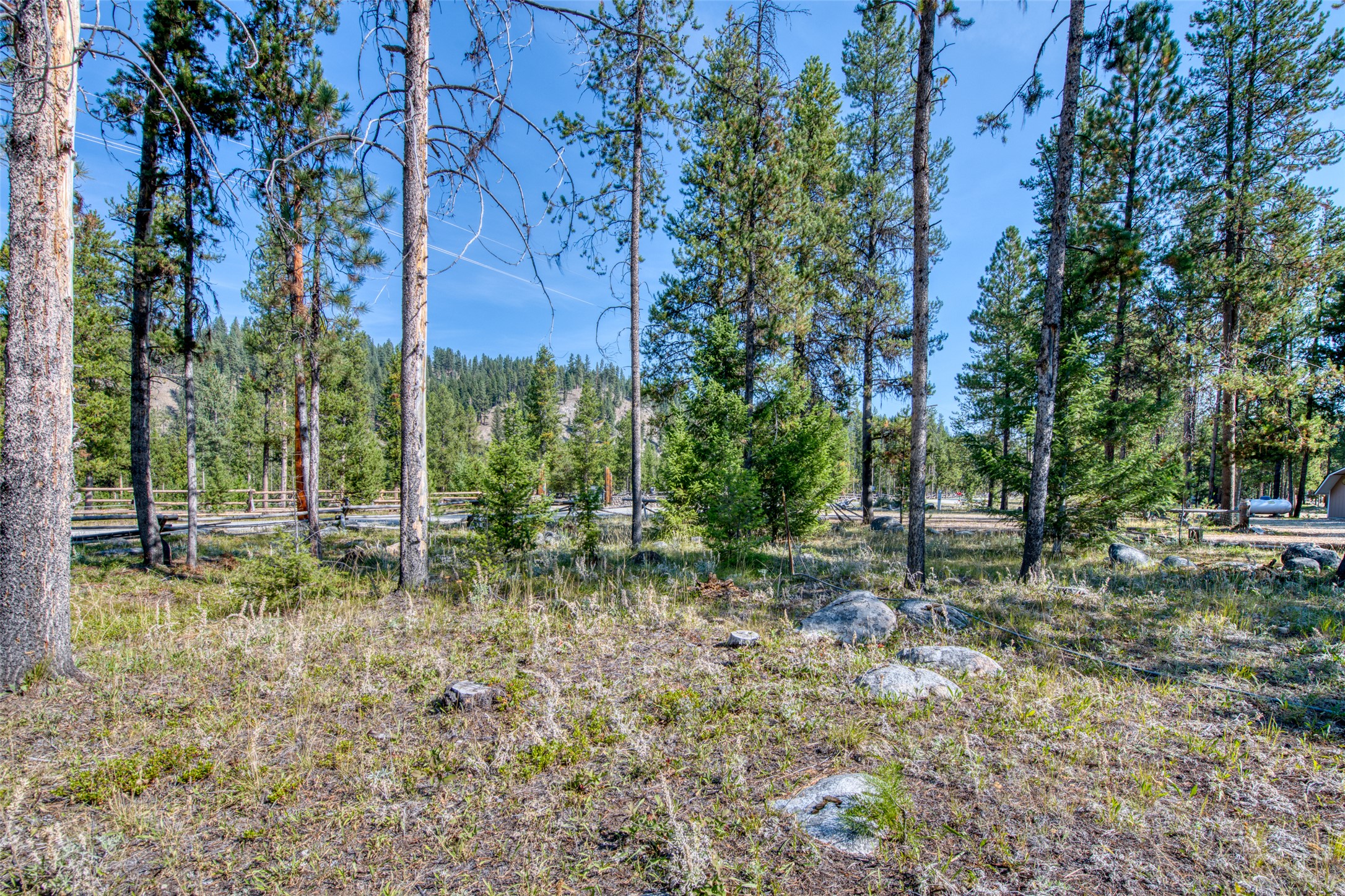 2849 East Fork Road Property Photo 10