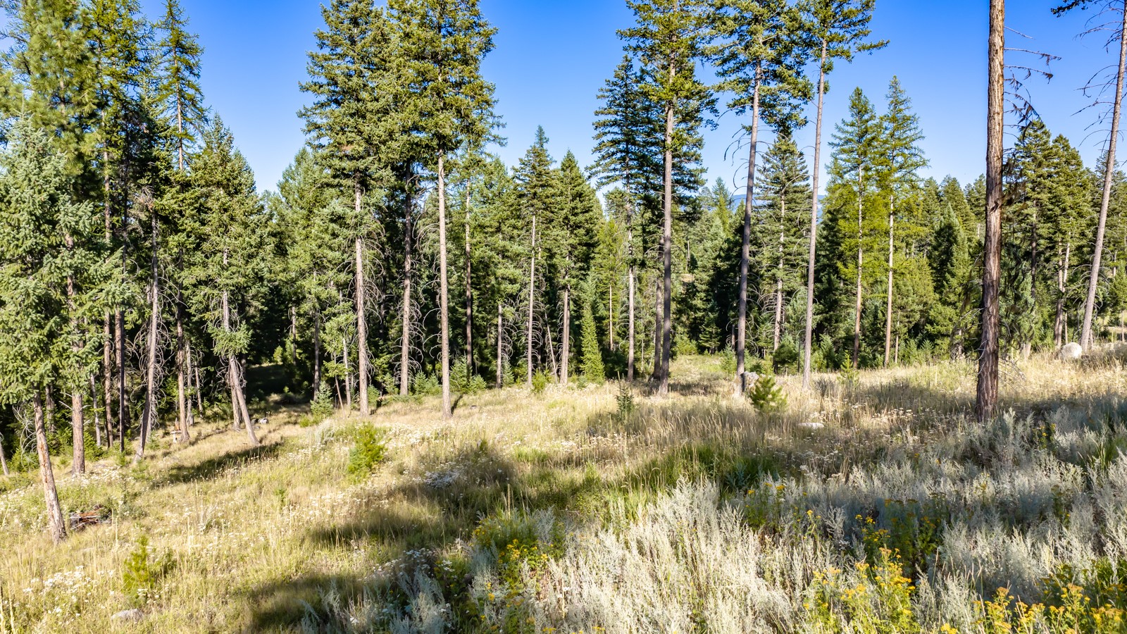 365 Layton Road Property Photo 14