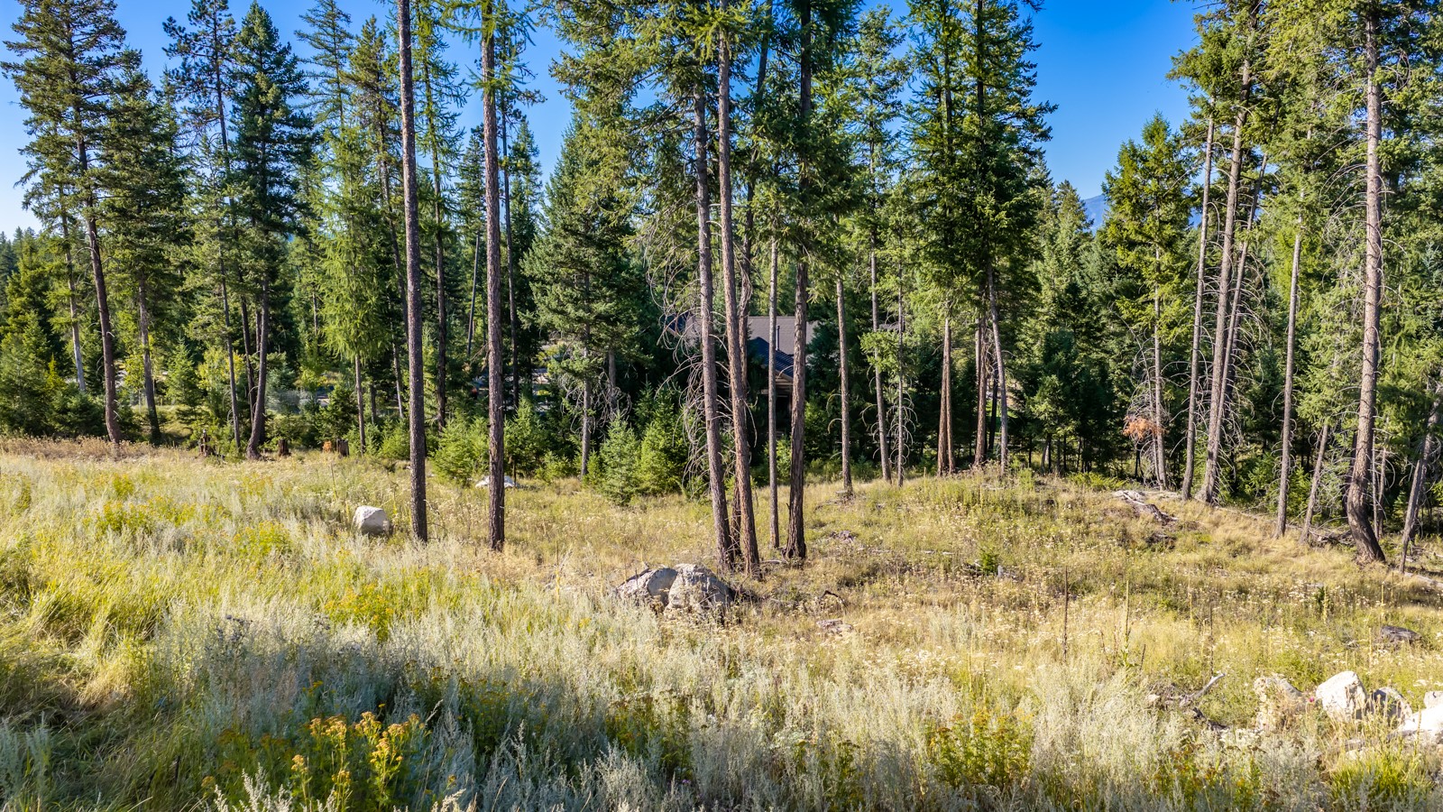 365 Layton Road Property Photo 15