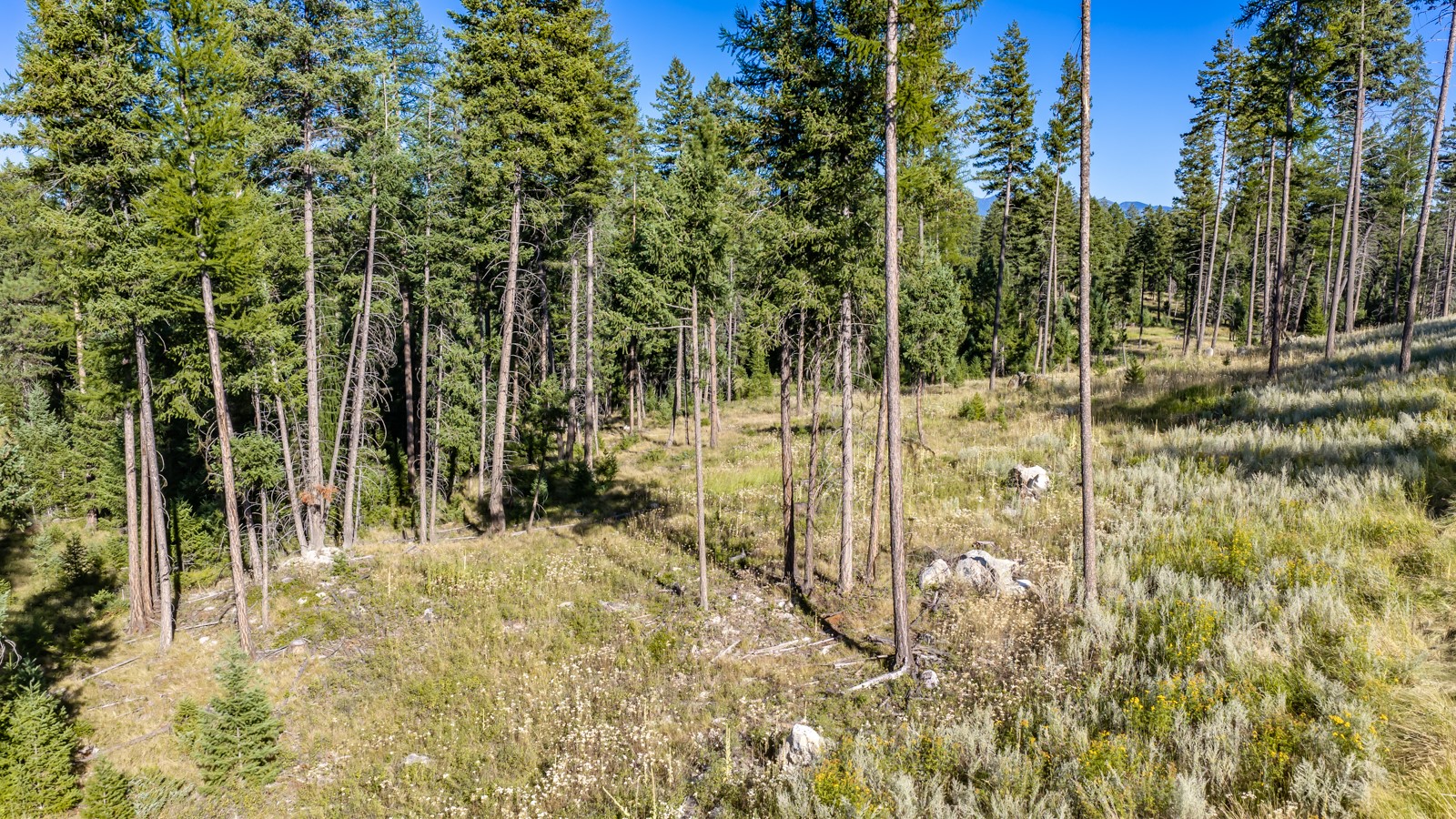 365 Layton Road Property Photo 16