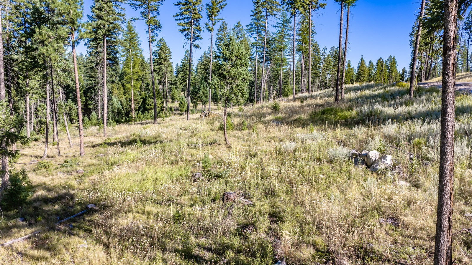 365 Layton Road Property Photo 17