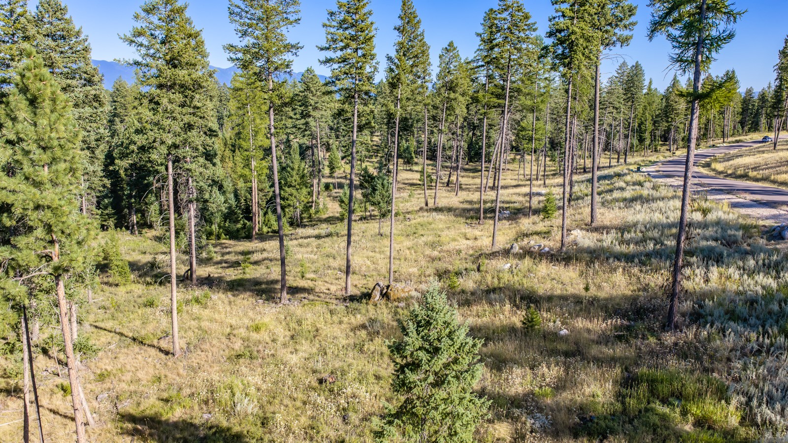 365 Layton Road Property Photo 18