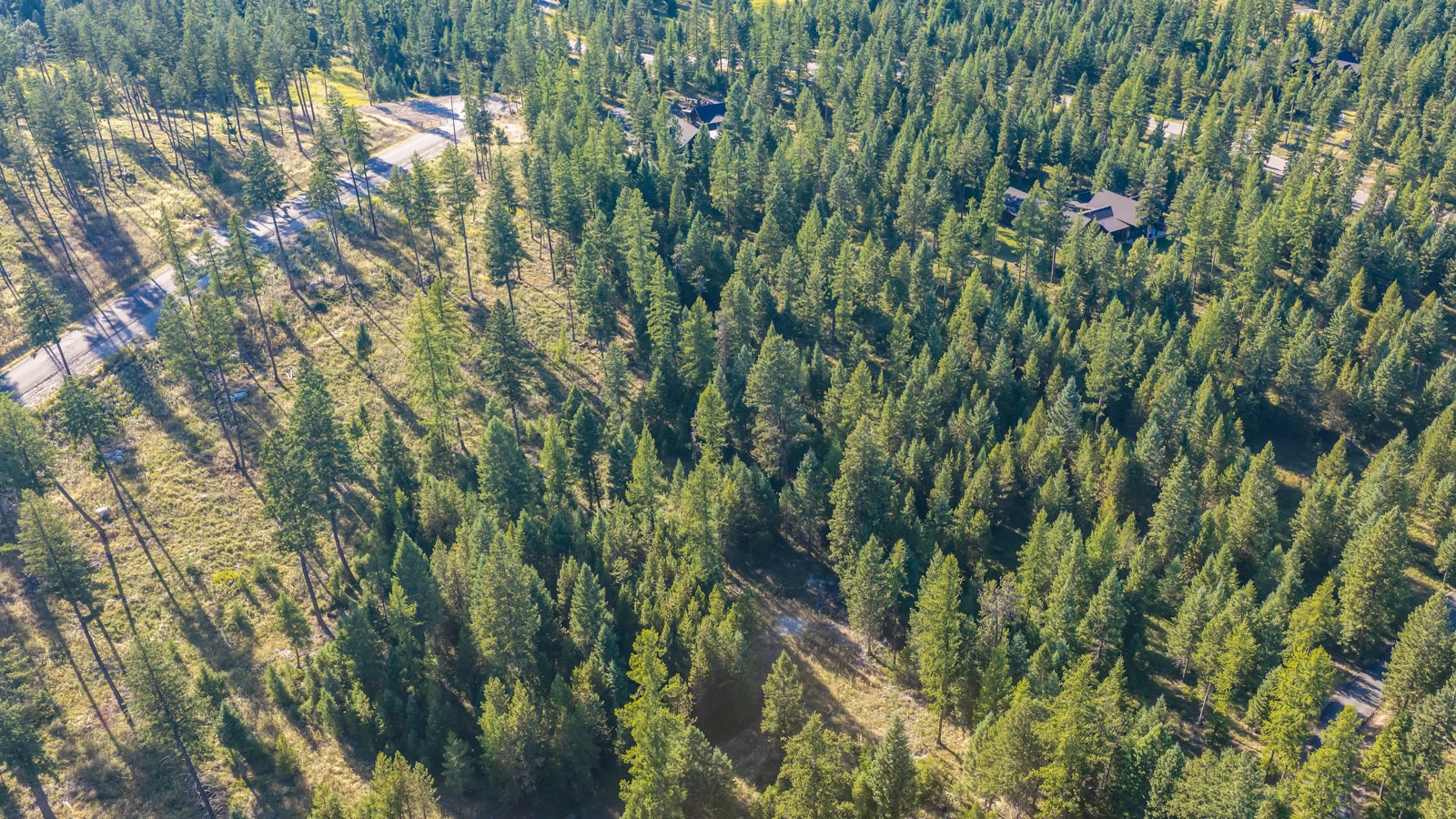 365 Layton Road Property Photo 22