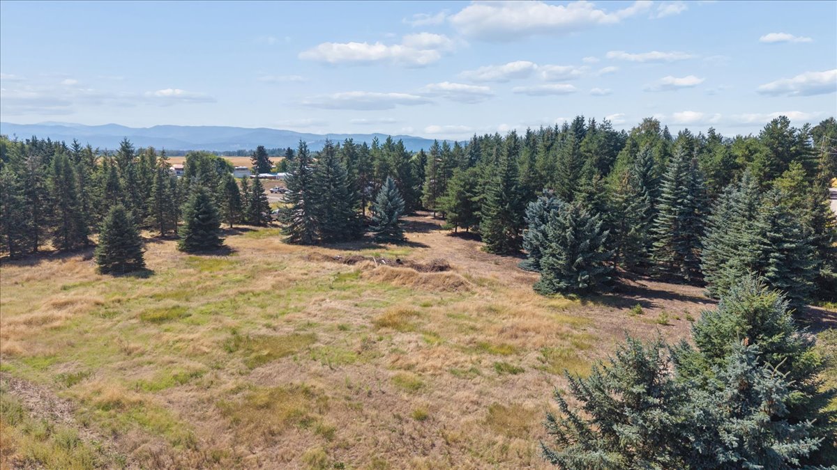 225 Fairmont Road Property Photo 11