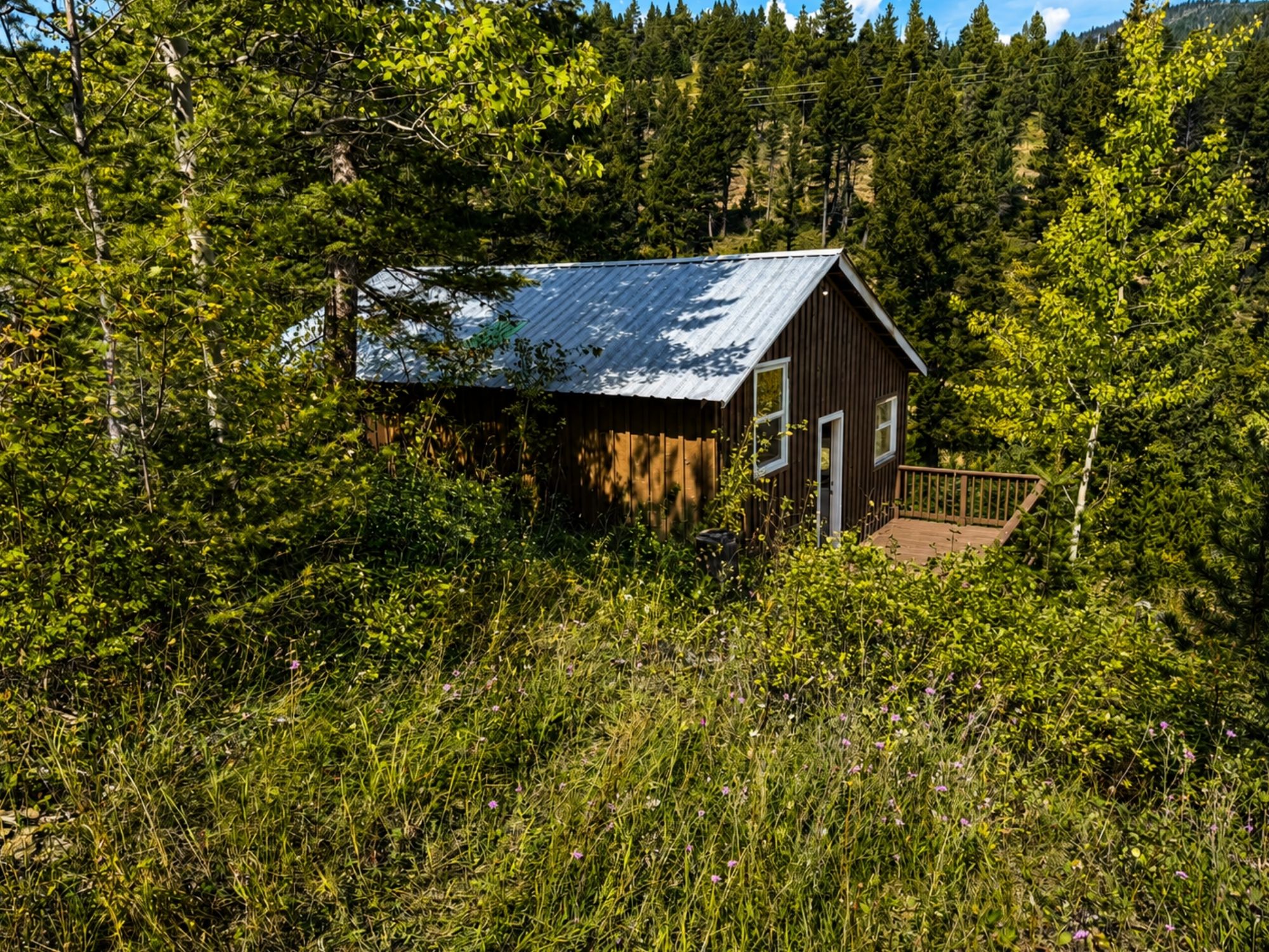 4100 Mt Highway 200 Property Photo 1