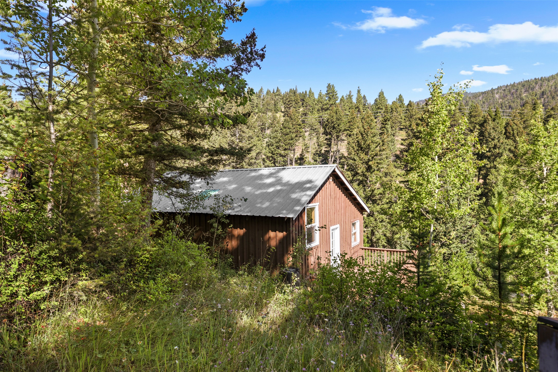 4100 Mt Highway 200 Property Photo 14