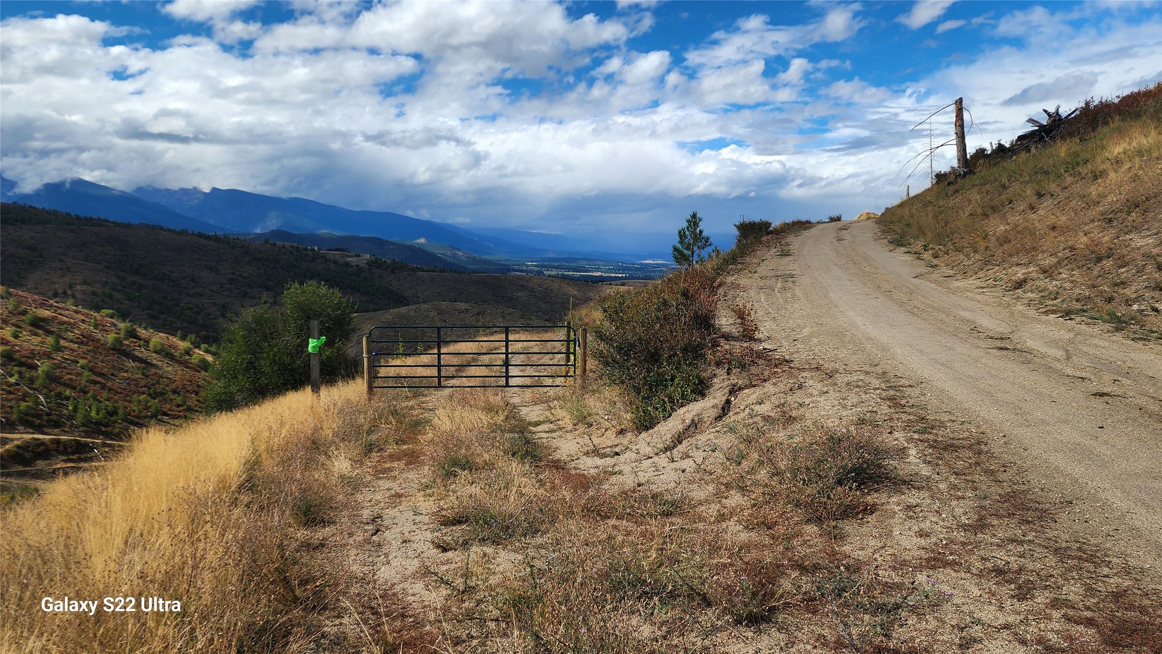 1209 Stoney Bear Lane Property Photo 11