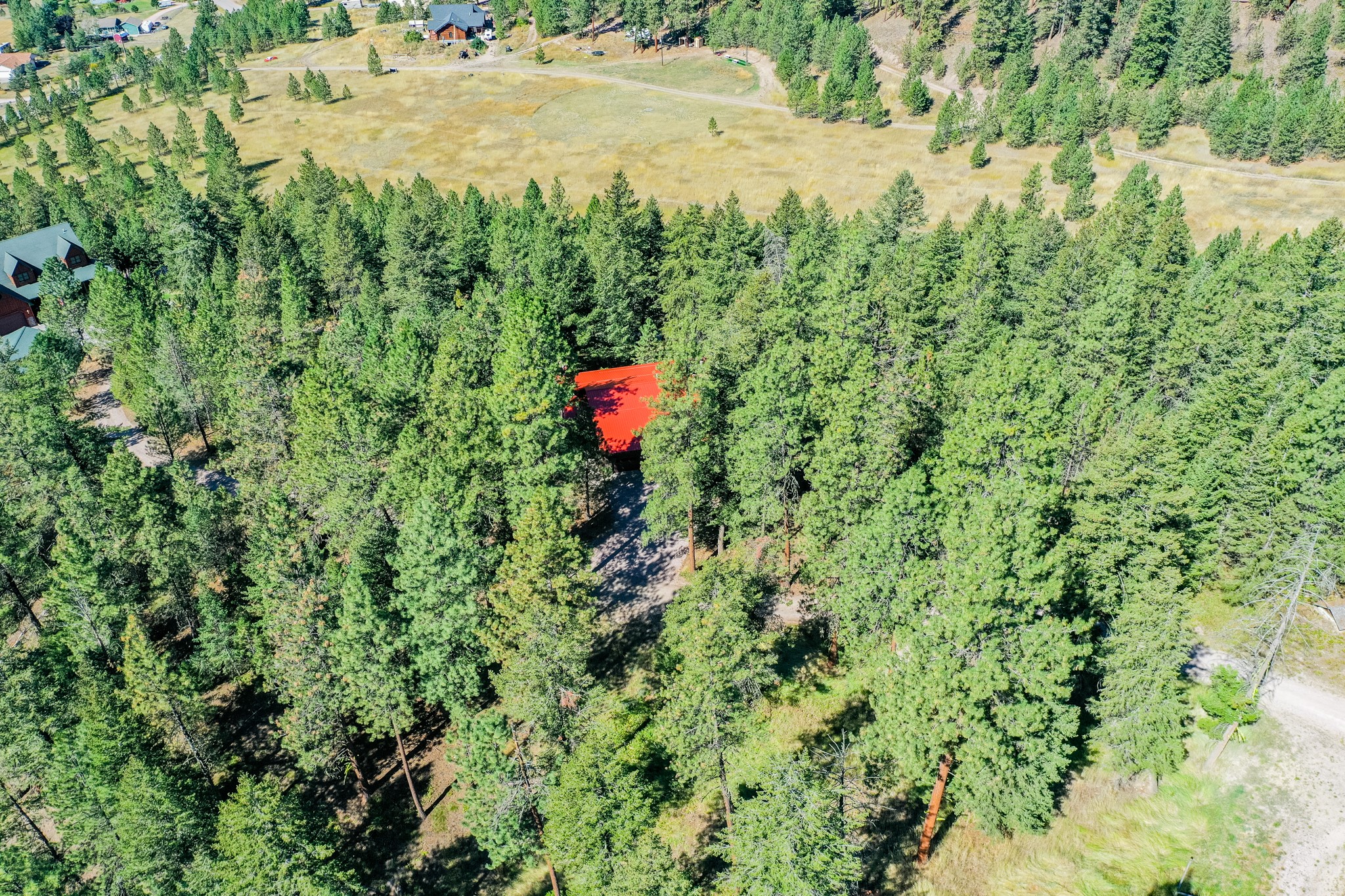 9575 Bridge Burn Trail Property Photo 52