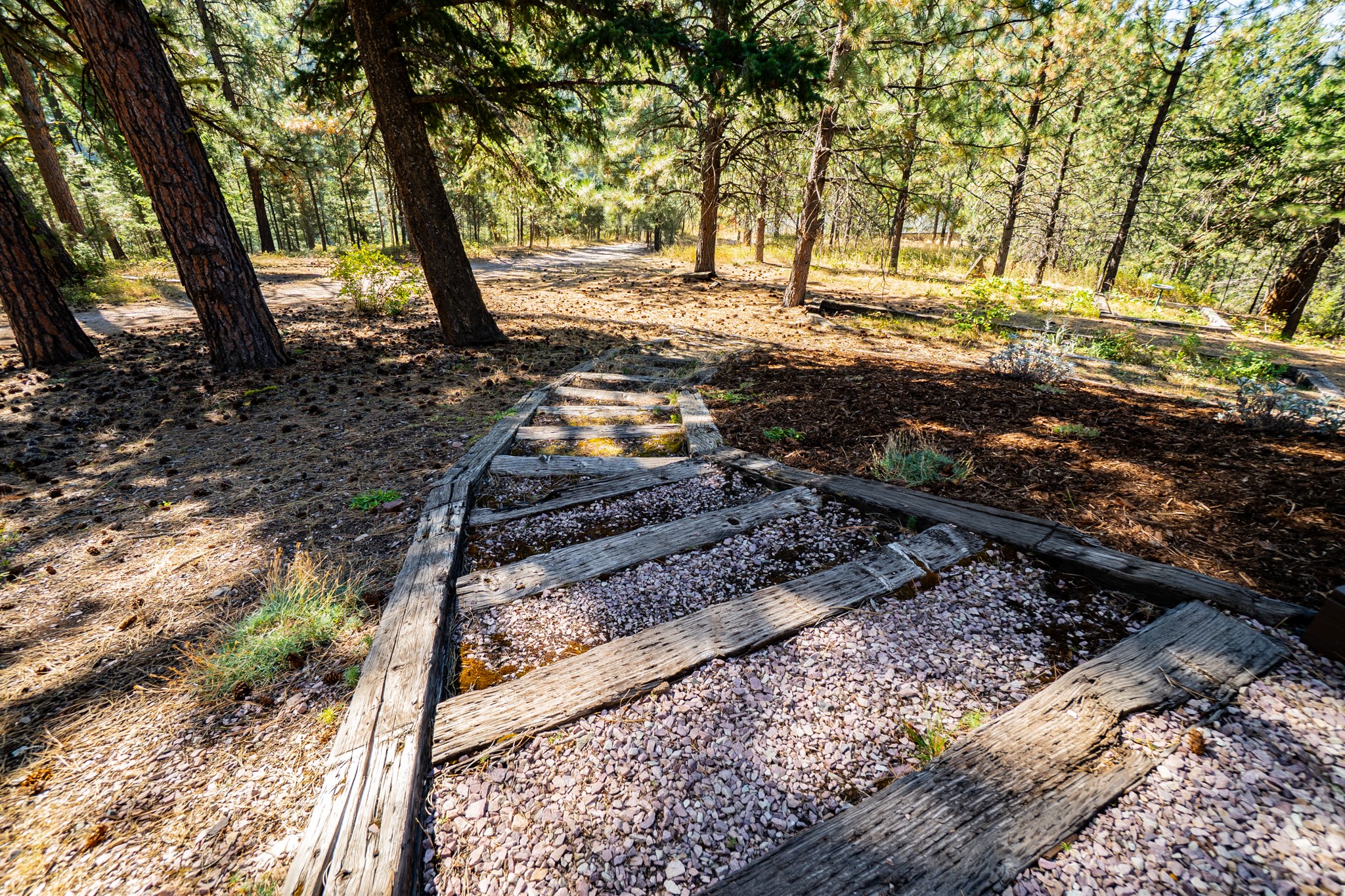 9575 Bridge Burn Trail Property Photo 64