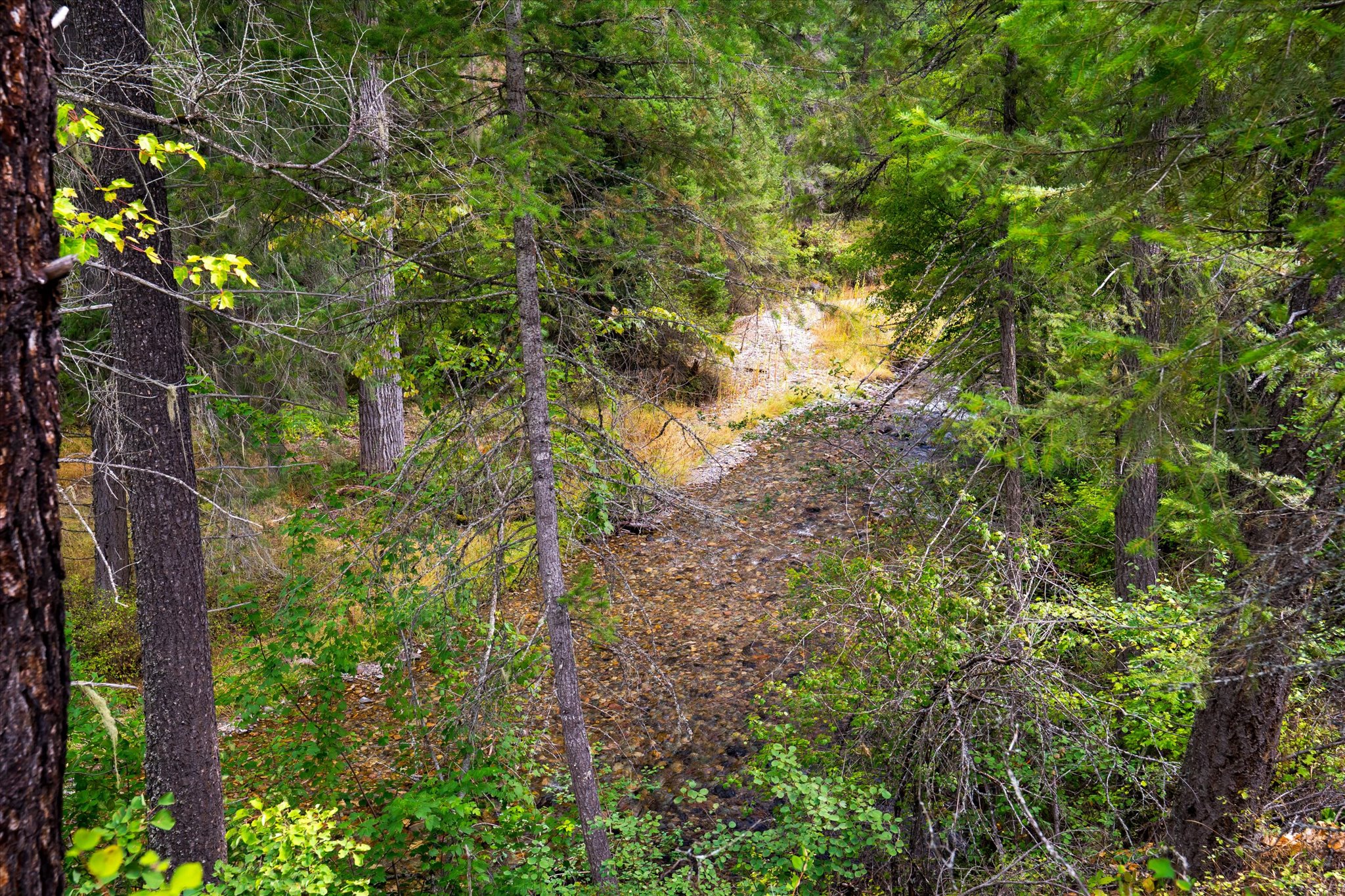 3 Craws Nest Loop Property Photo 50
