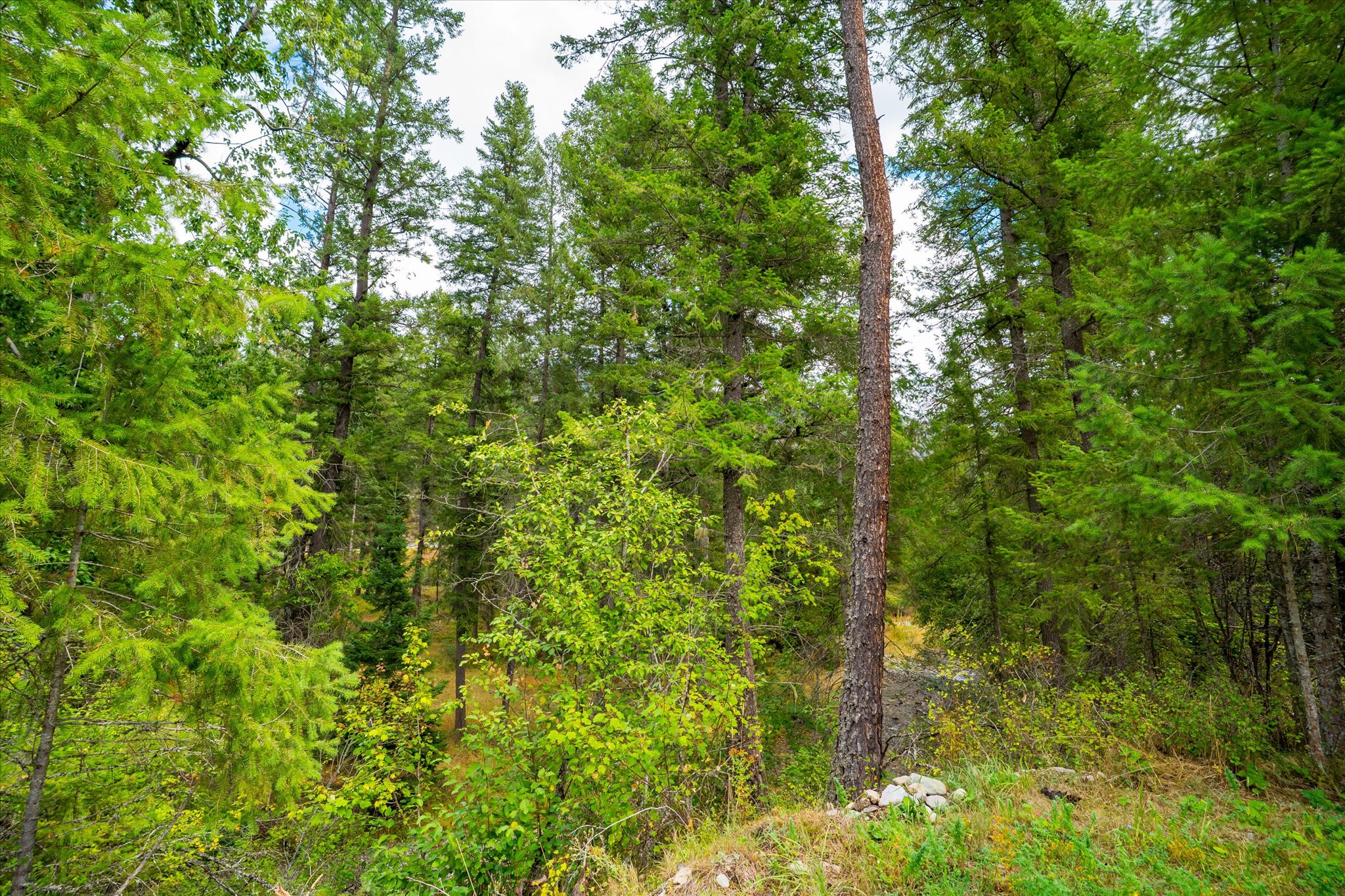 3 Craws Nest Loop Property Photo 59