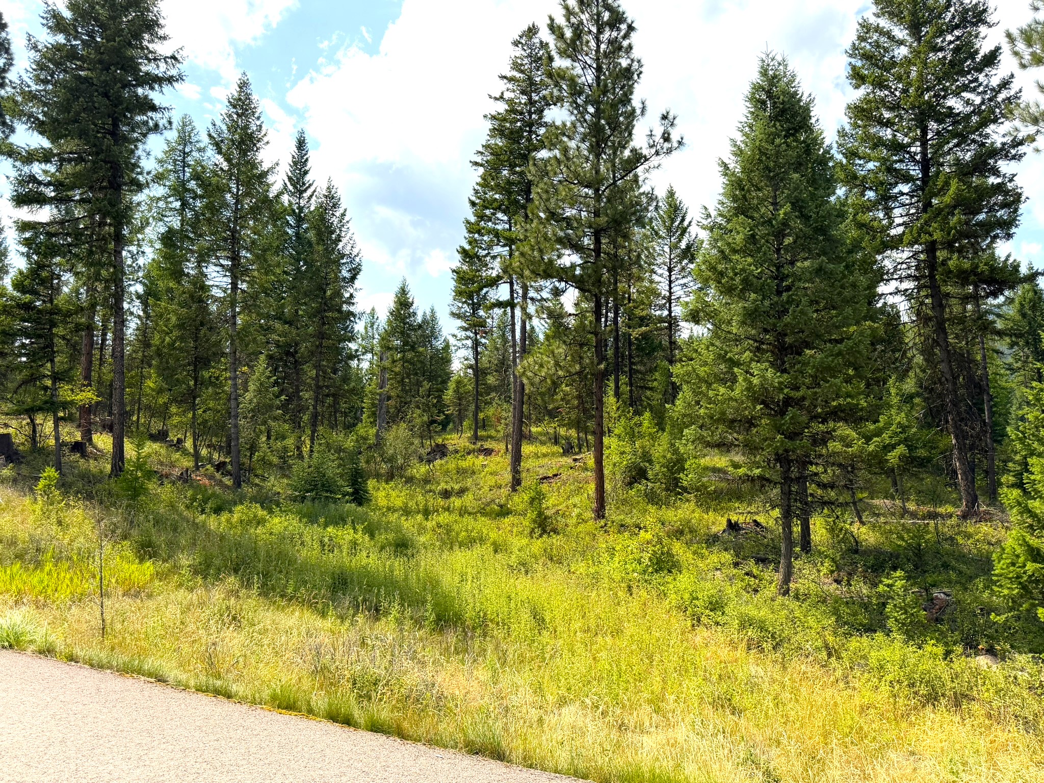 422 Haskill Ranch Road Lot-30 Property Photo 1