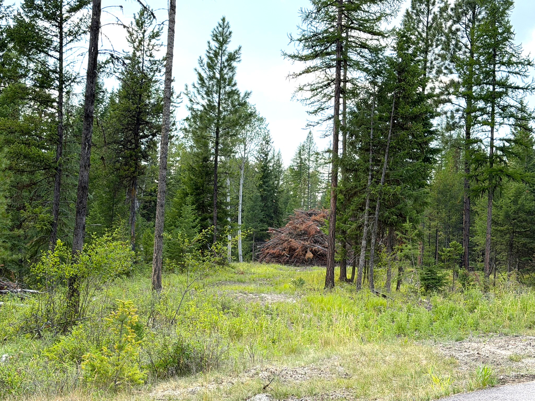 422 Haskill Ranch Road Lot-30 Property Photo 3