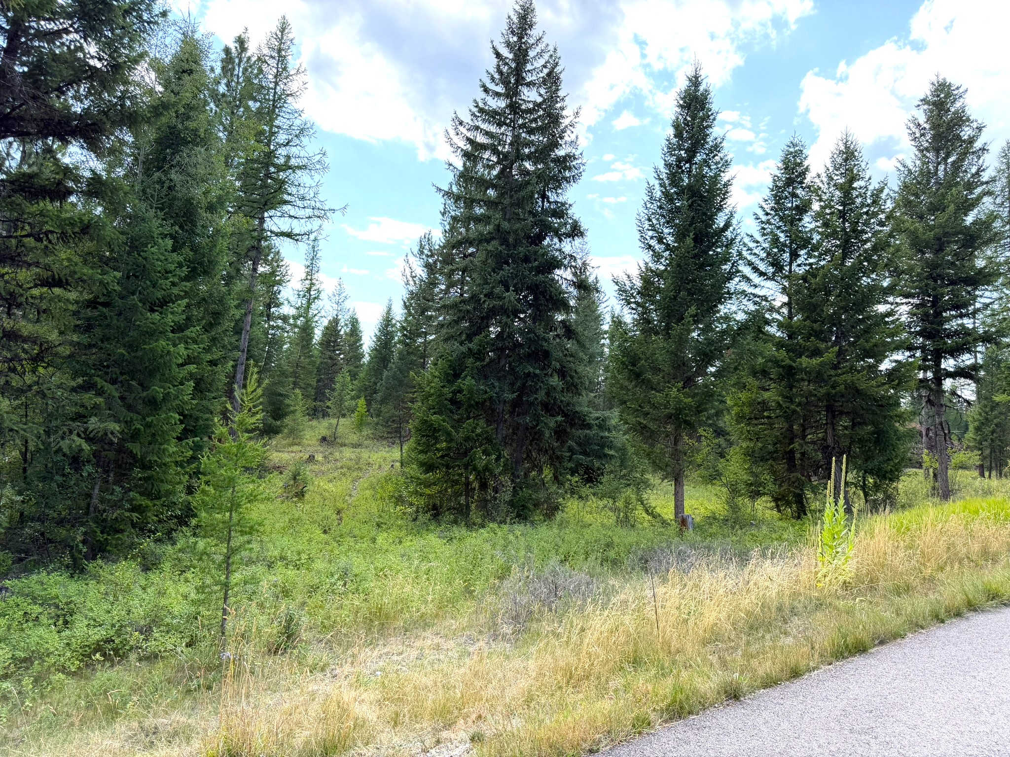 422 Haskill Ranch Road Lot-30 Property Photo 4