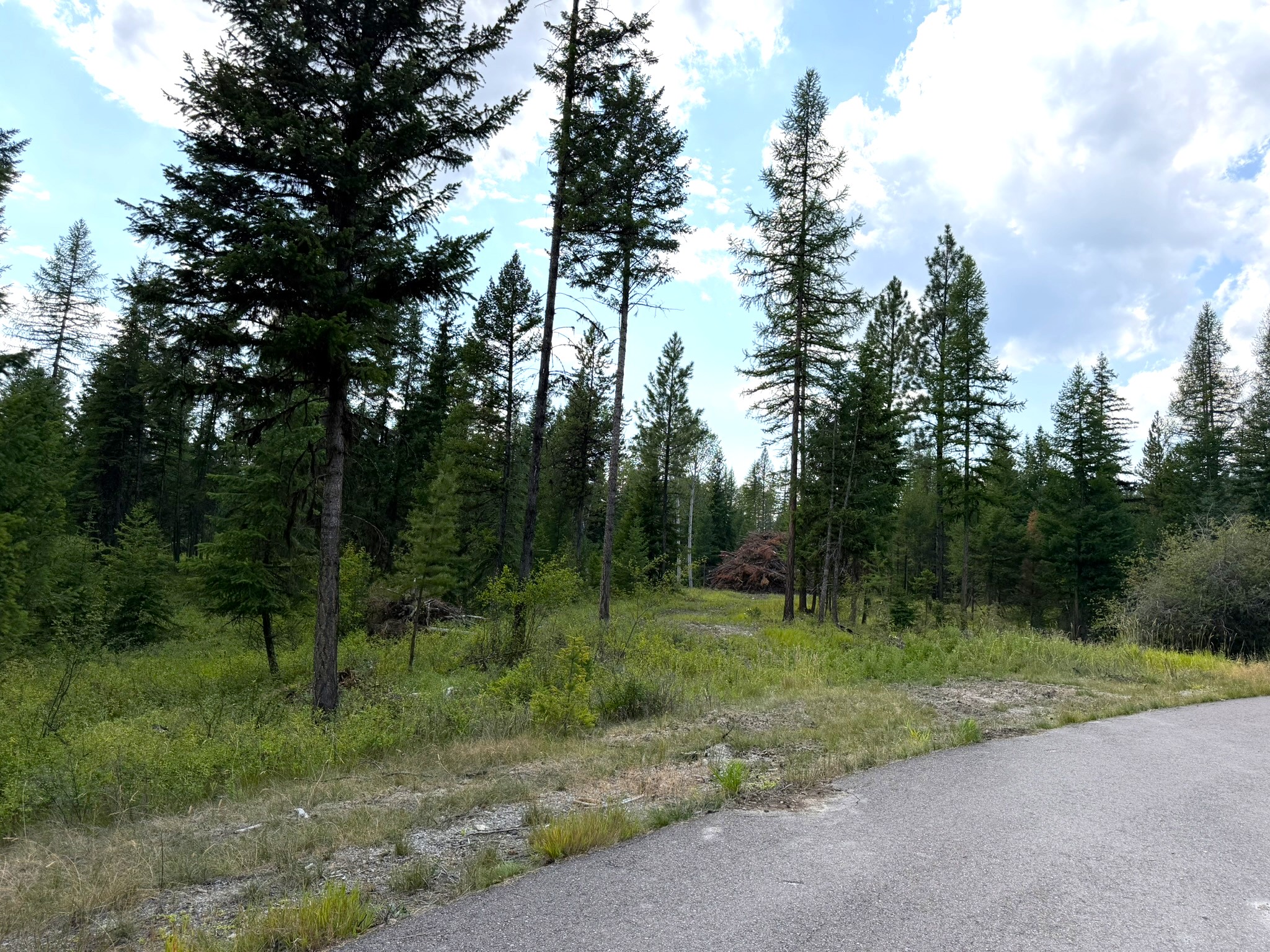 422 Haskill Ranch Road Lot-30 Property Photo 5