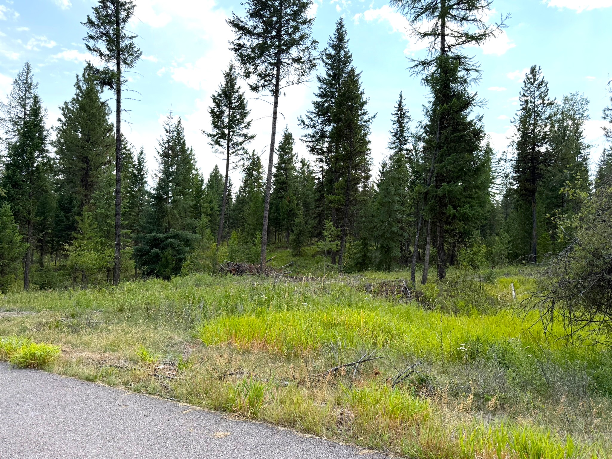 422 Haskill Ranch Road Lot-30 Property Photo 6
