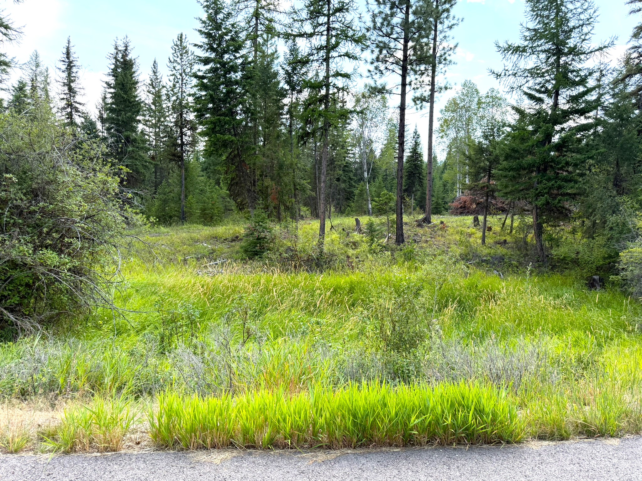 422 Haskill Ranch Road Lot-30 Property Photo 7
