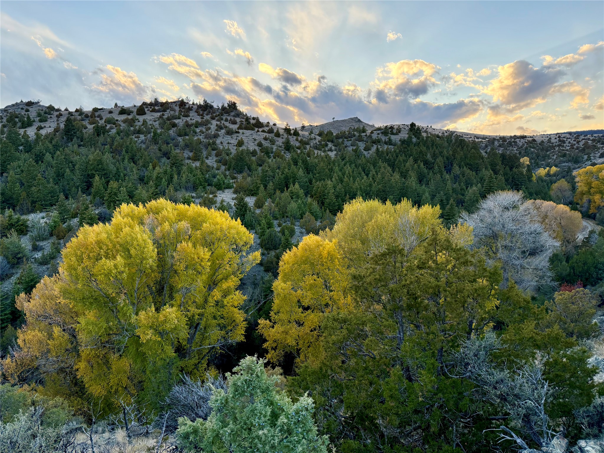 Tbd Keating Gulch Road Property Photo 6