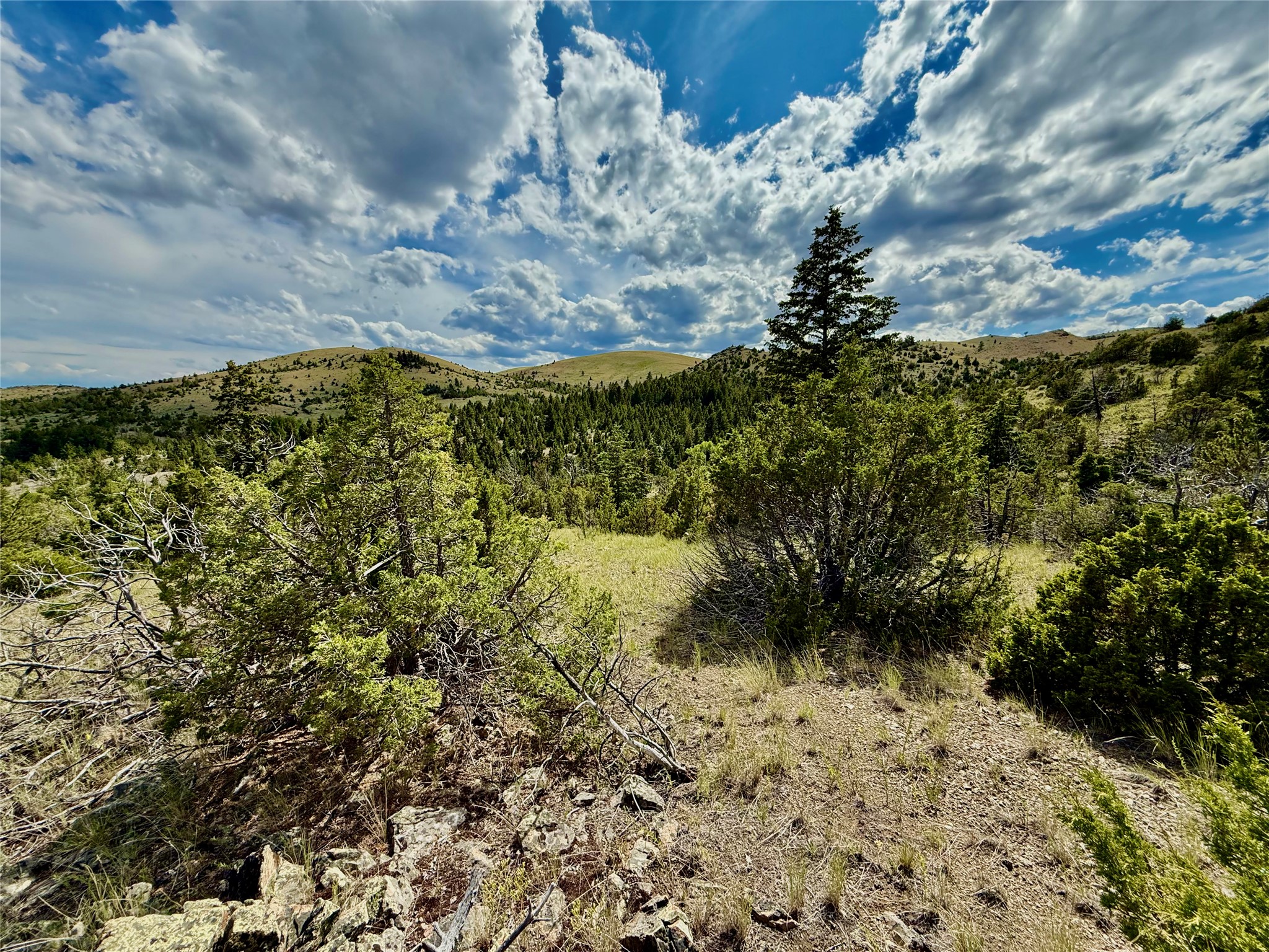 Tbd Keating Gulch Road Property Photo 10