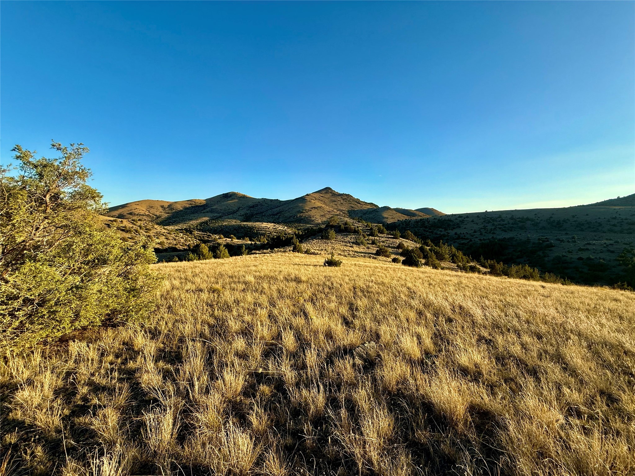 Tbd Johnny Gulch Road Property Photo 1