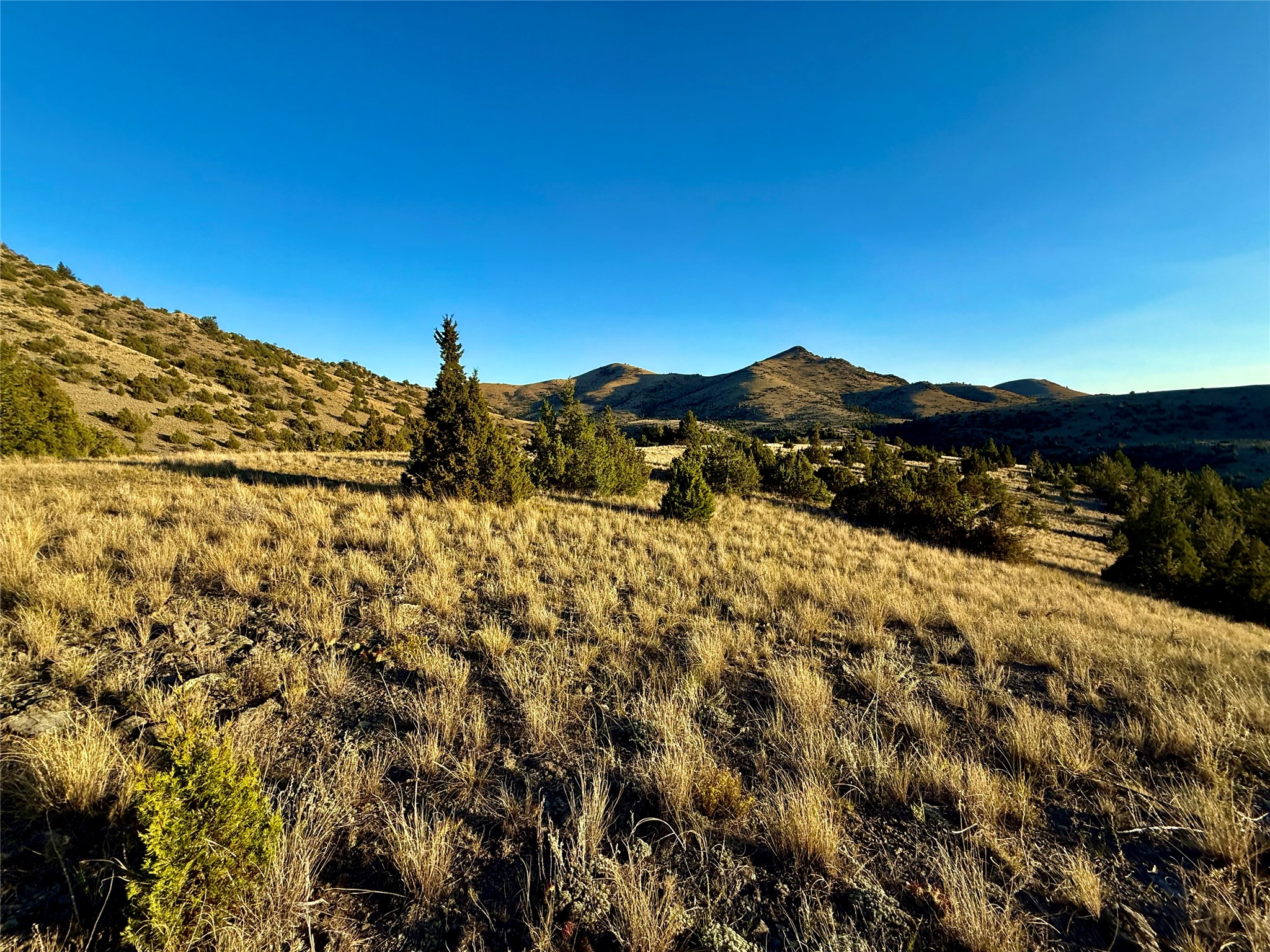 Tbd Johnny Gulch Road Property Photo 2