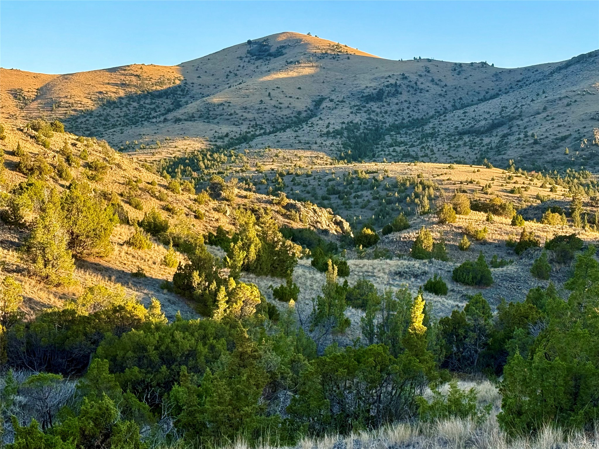 Tbd Johnny Gulch Road Property Photo 3