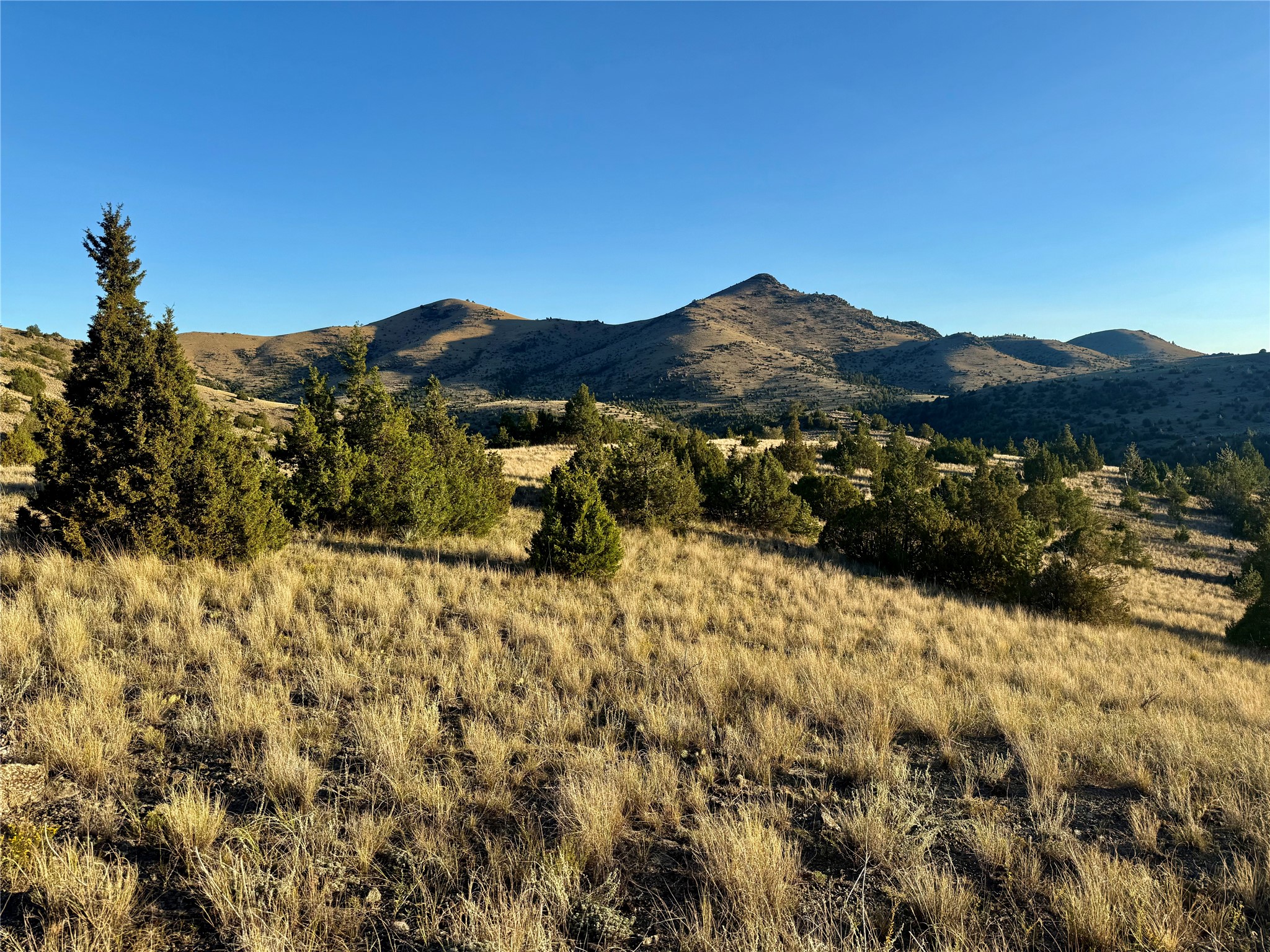 Tbd Johnny Gulch Road Property Photo 4