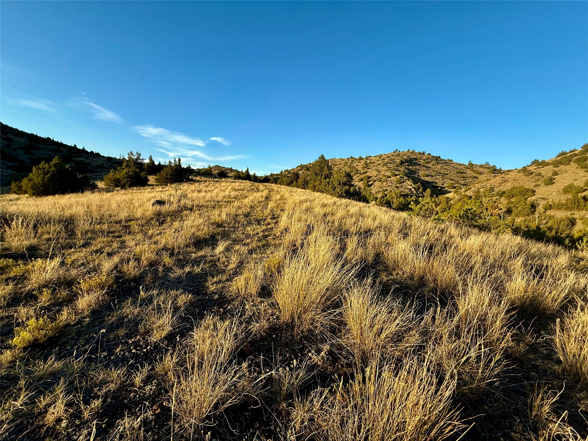 Tbd Johnny Gulch Road Property Photo 8