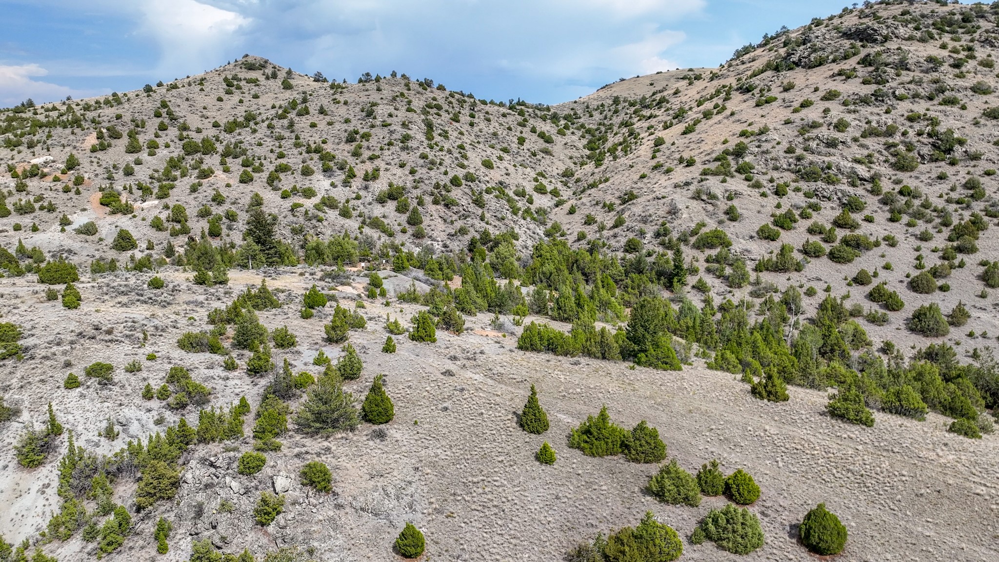 Tbd Johnny Gulch Road Property Photo 10