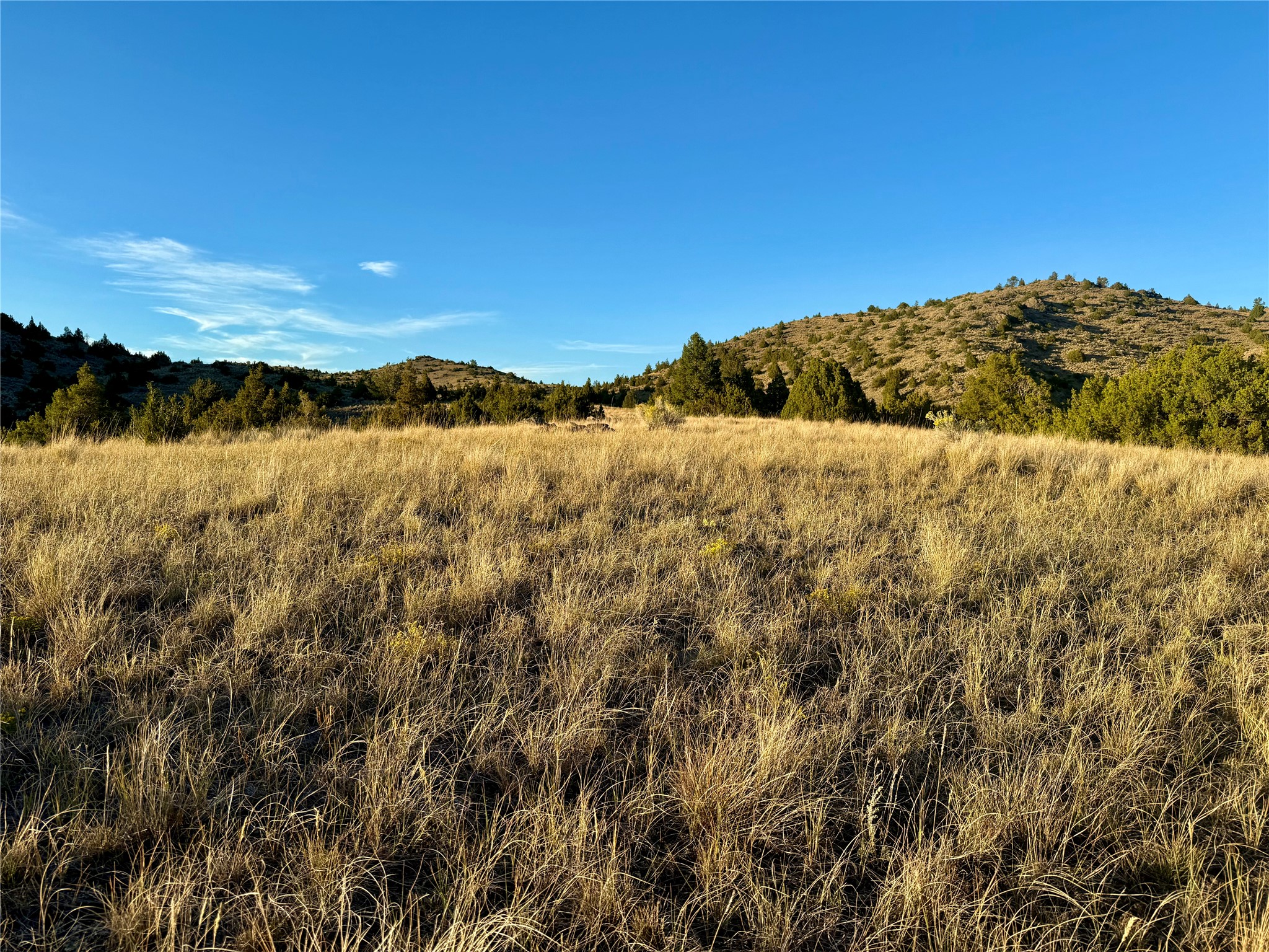 Tbd Johnny Gulch Road Property Photo 12