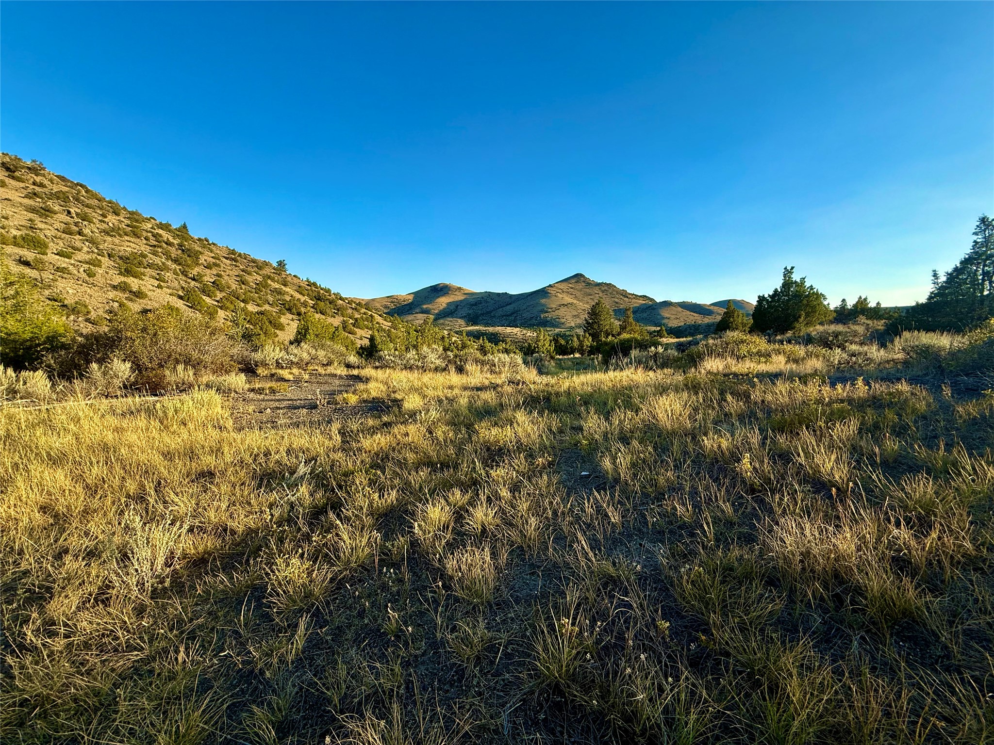 Tbd Johnny Gulch Road Property Photo 13