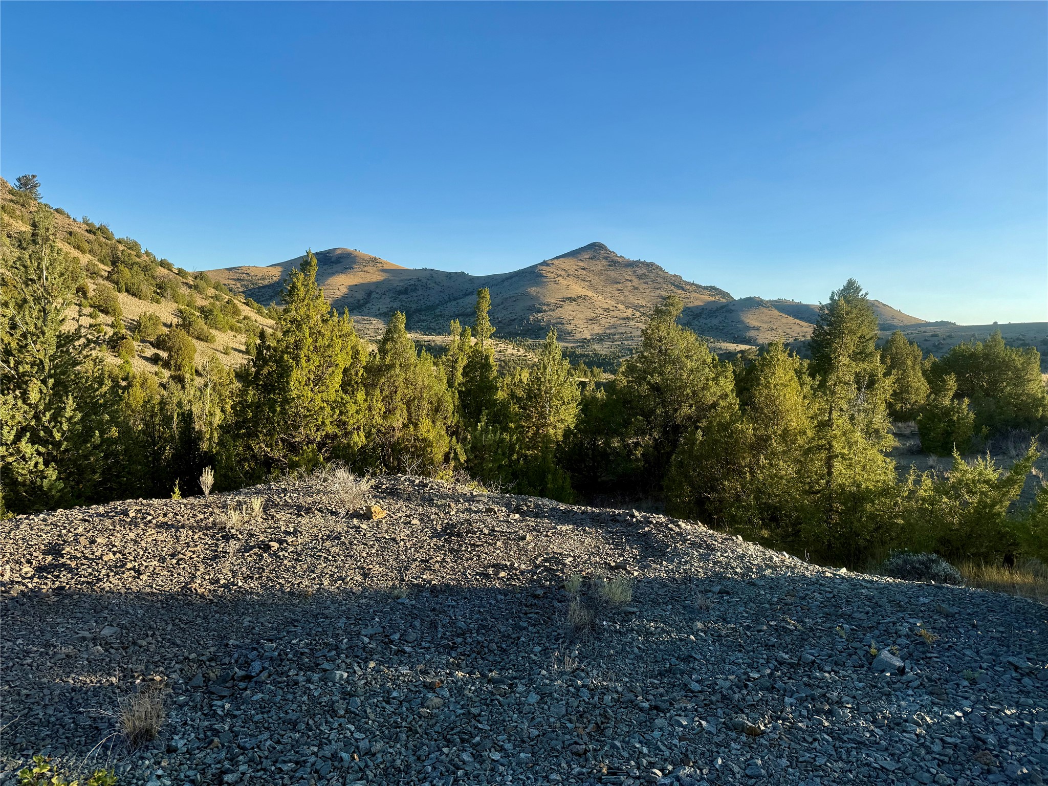 Tbd Johnny Gulch Road Property Photo 14